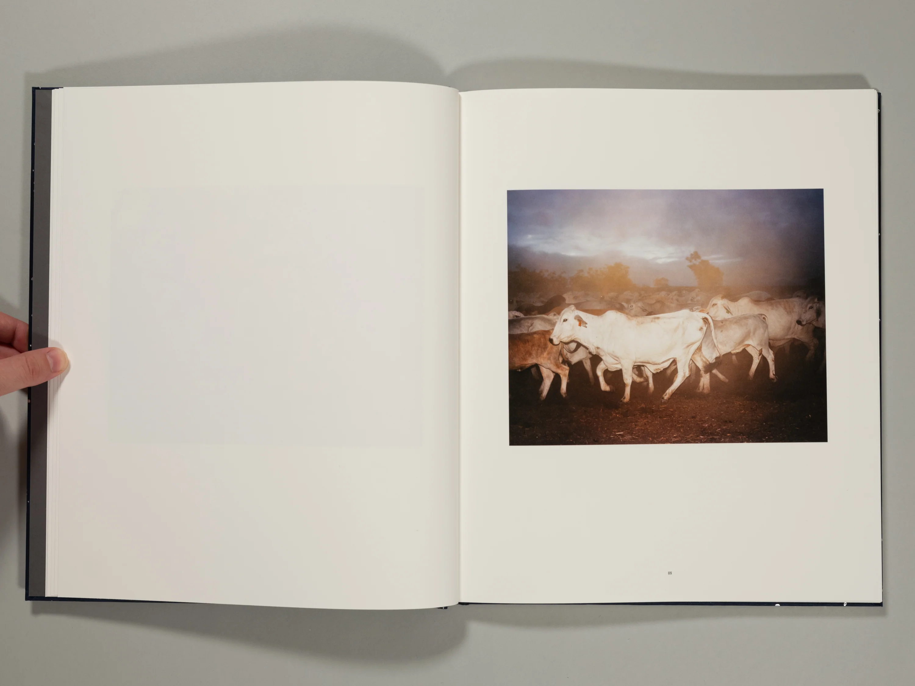 Adam Ferguson - Big Sky - Image 4