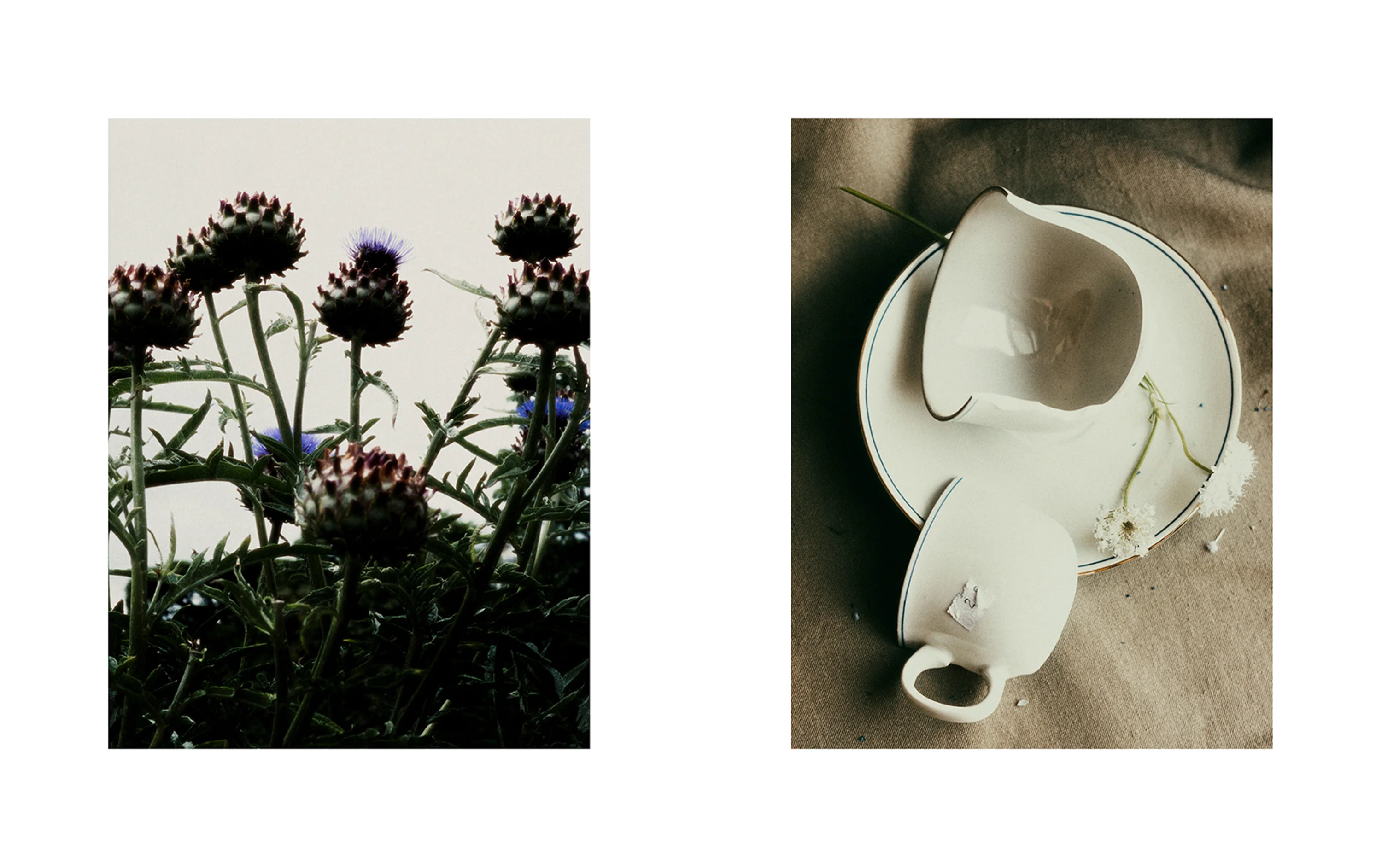 Adam Friedlander - Daytime and Distant - Image 3