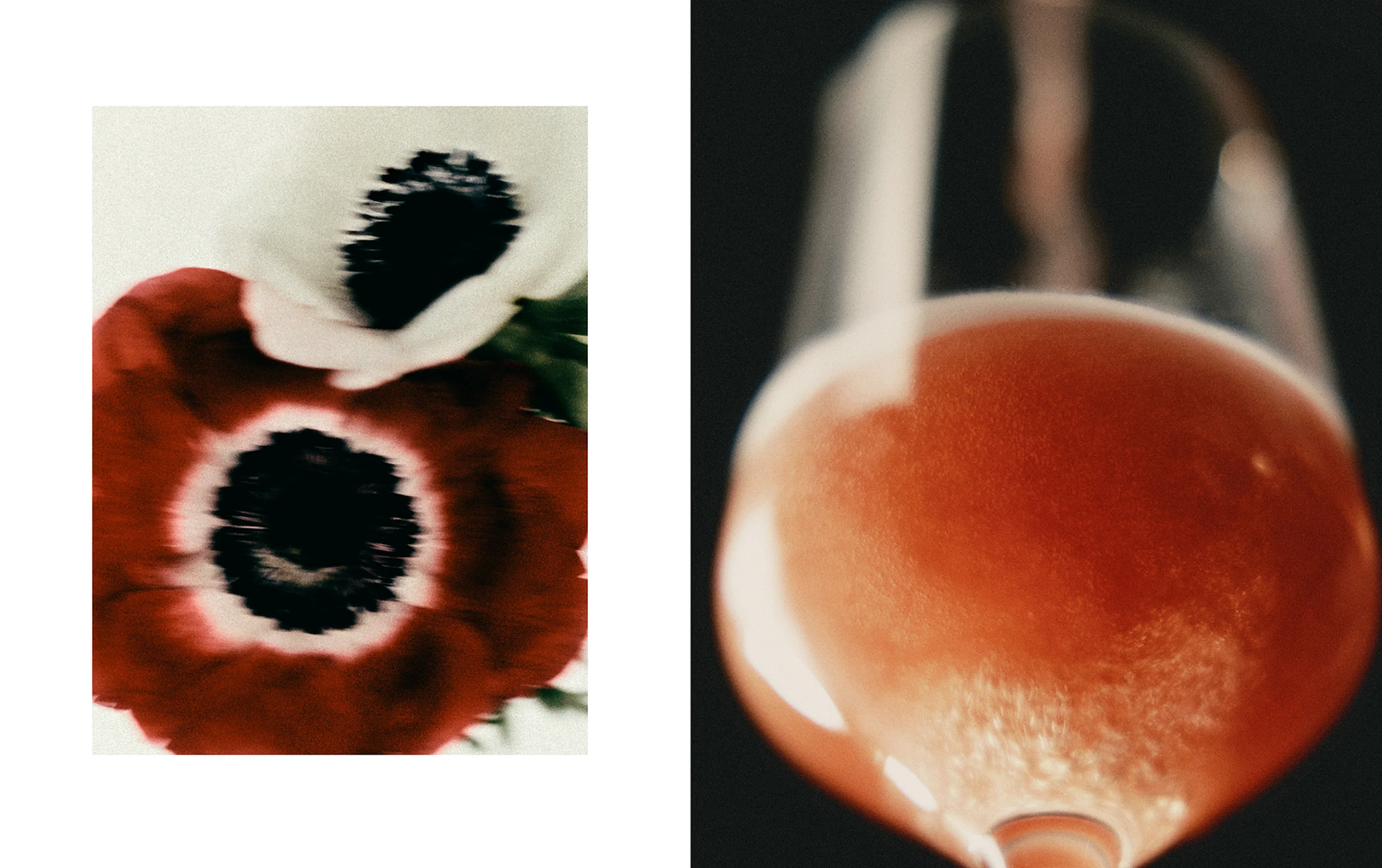 Adam Friedlander - Daytime and Distant - Image 6