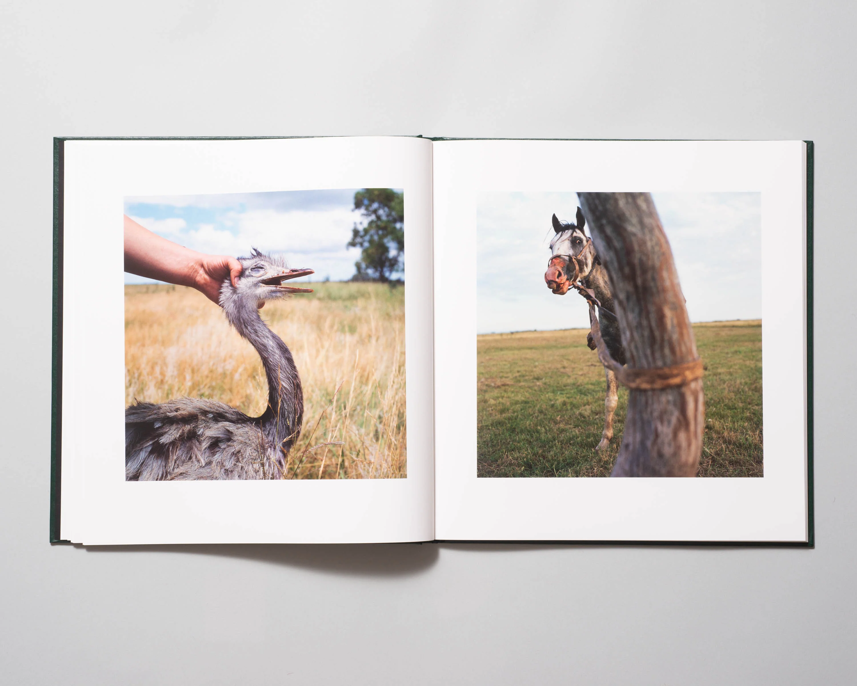 Alessandra Sanguinetti - On The Sixth Day (Signed) - Image 3