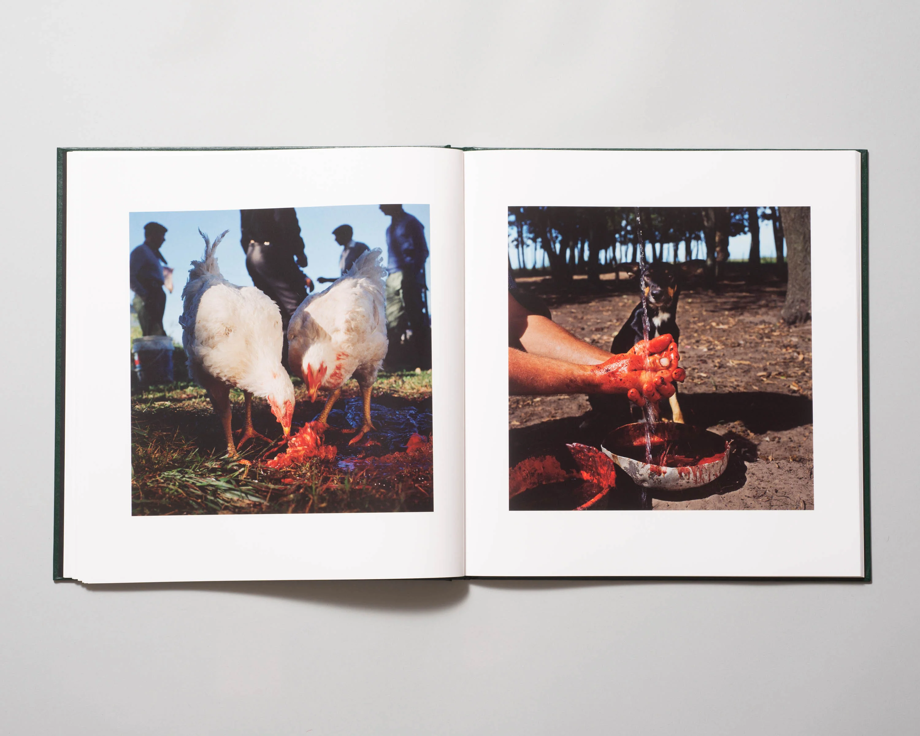Alessandra Sanguinetti - On The Sixth Day (Signed) - Image 4