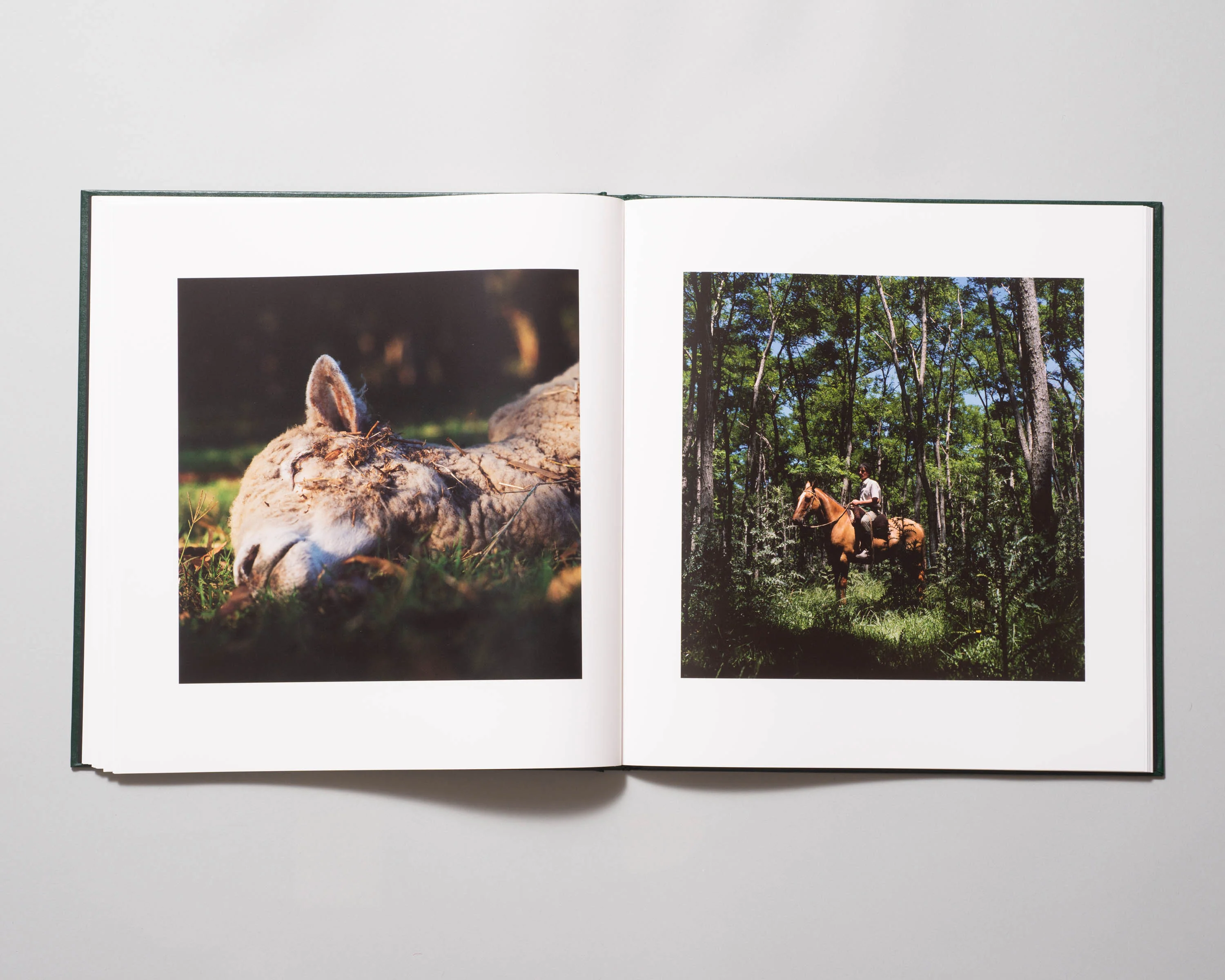 Alessandra Sanguinetti - On The Sixth Day (Signed) - Image 5