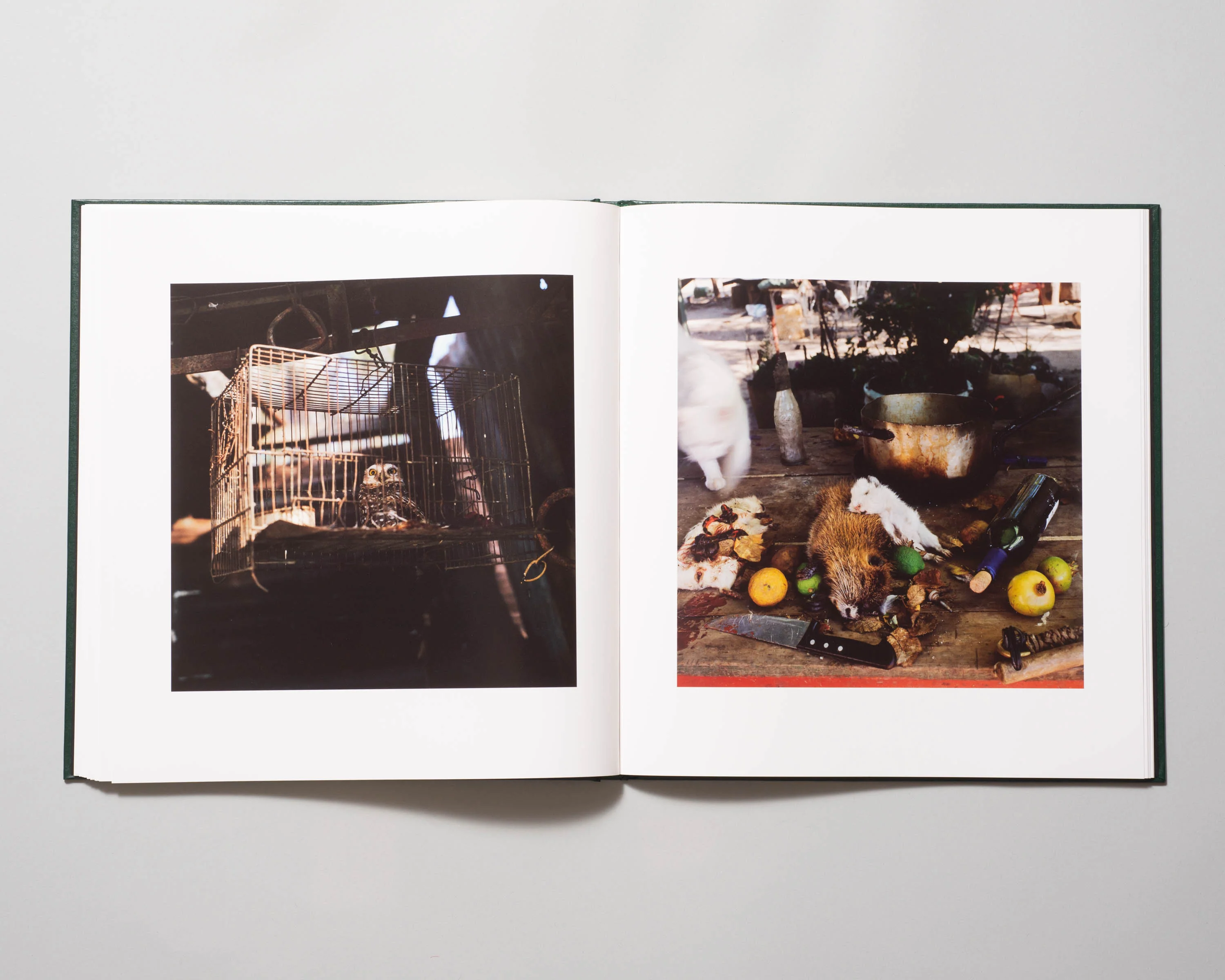 Alessandra Sanguinetti - On The Sixth Day (Signed) - Image 7