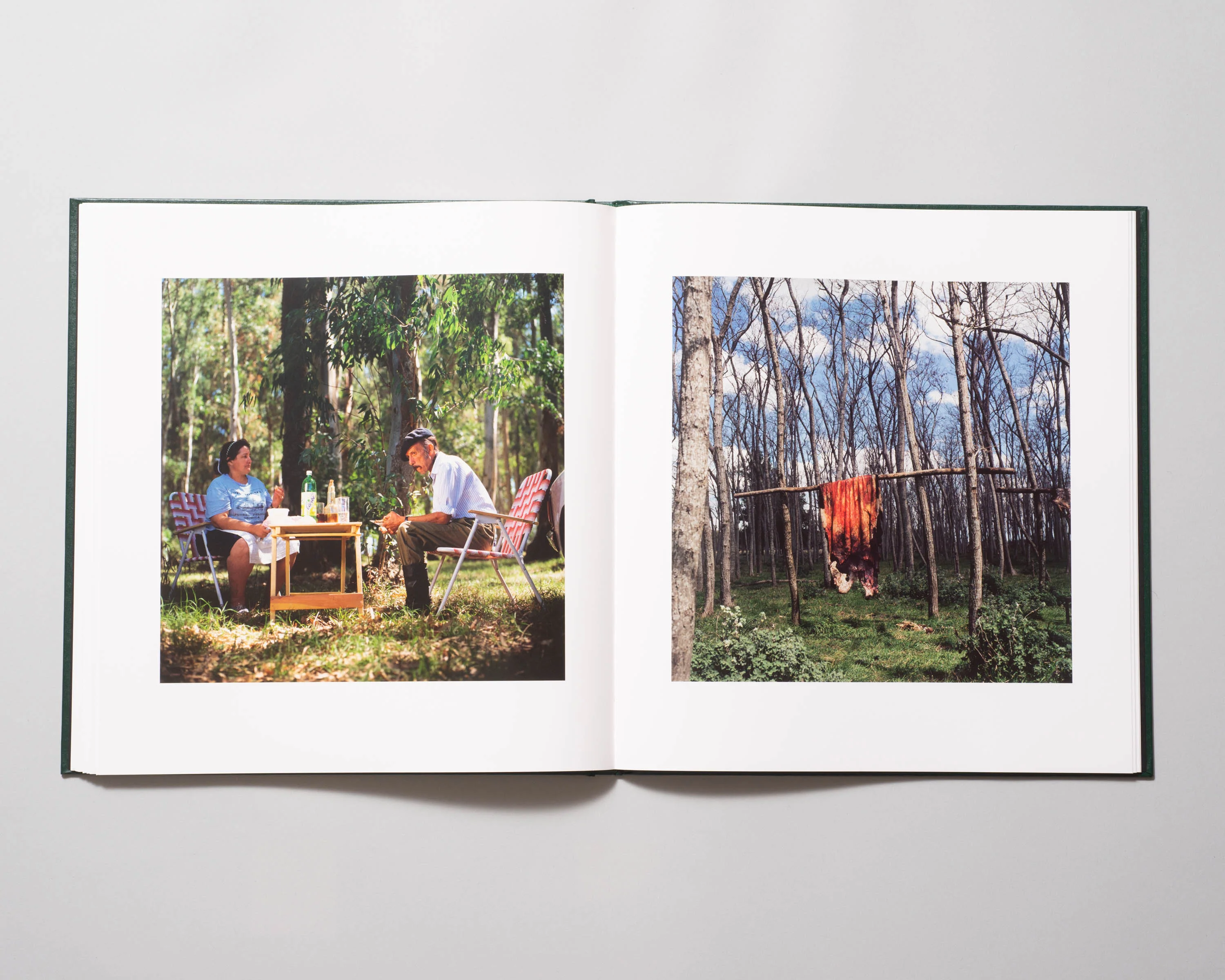 Alessandra Sanguinetti - On The Sixth Day (Signed) - Image 8