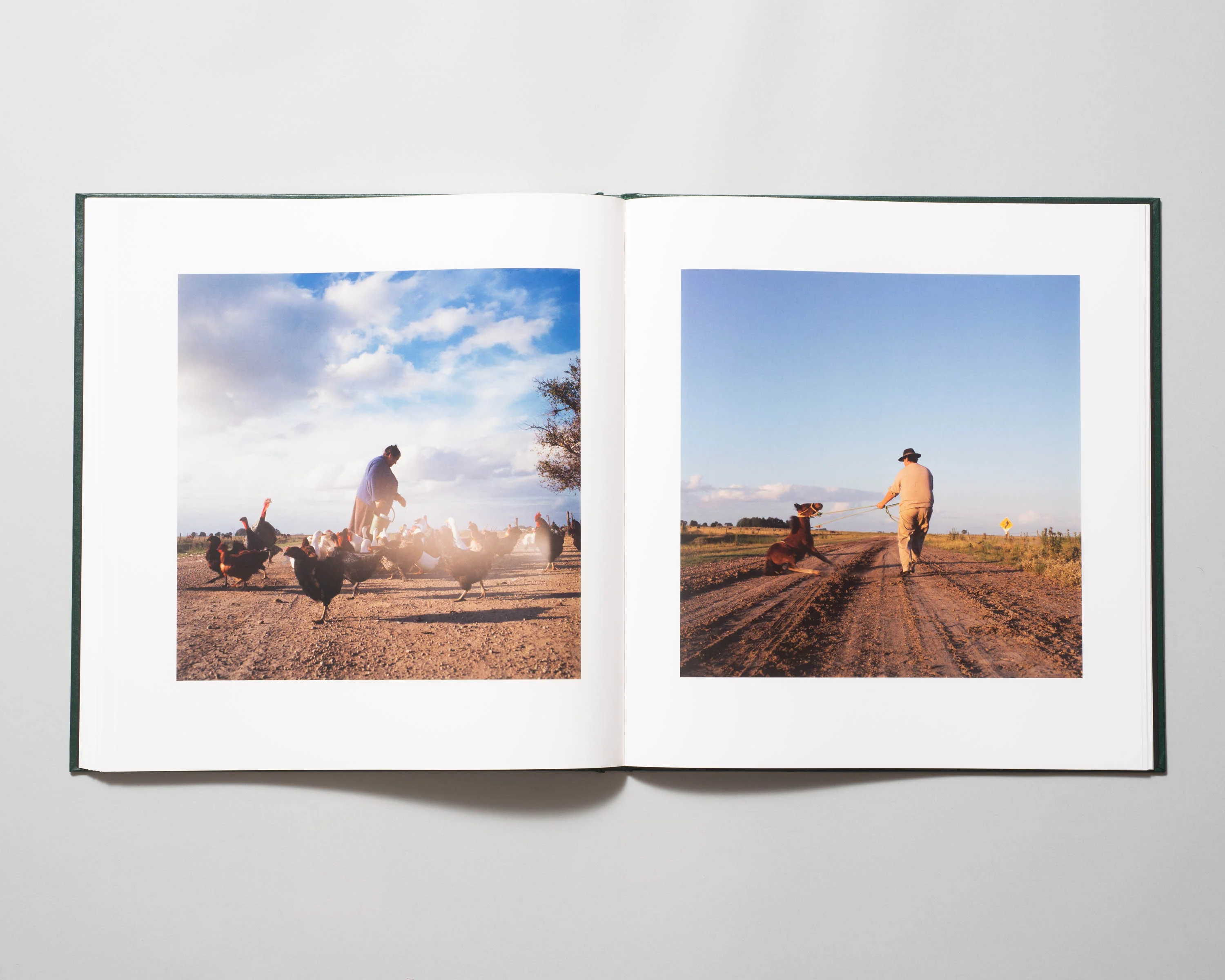 Alessandra Sanguinetti - On The Sixth Day (Signed) - Image 9