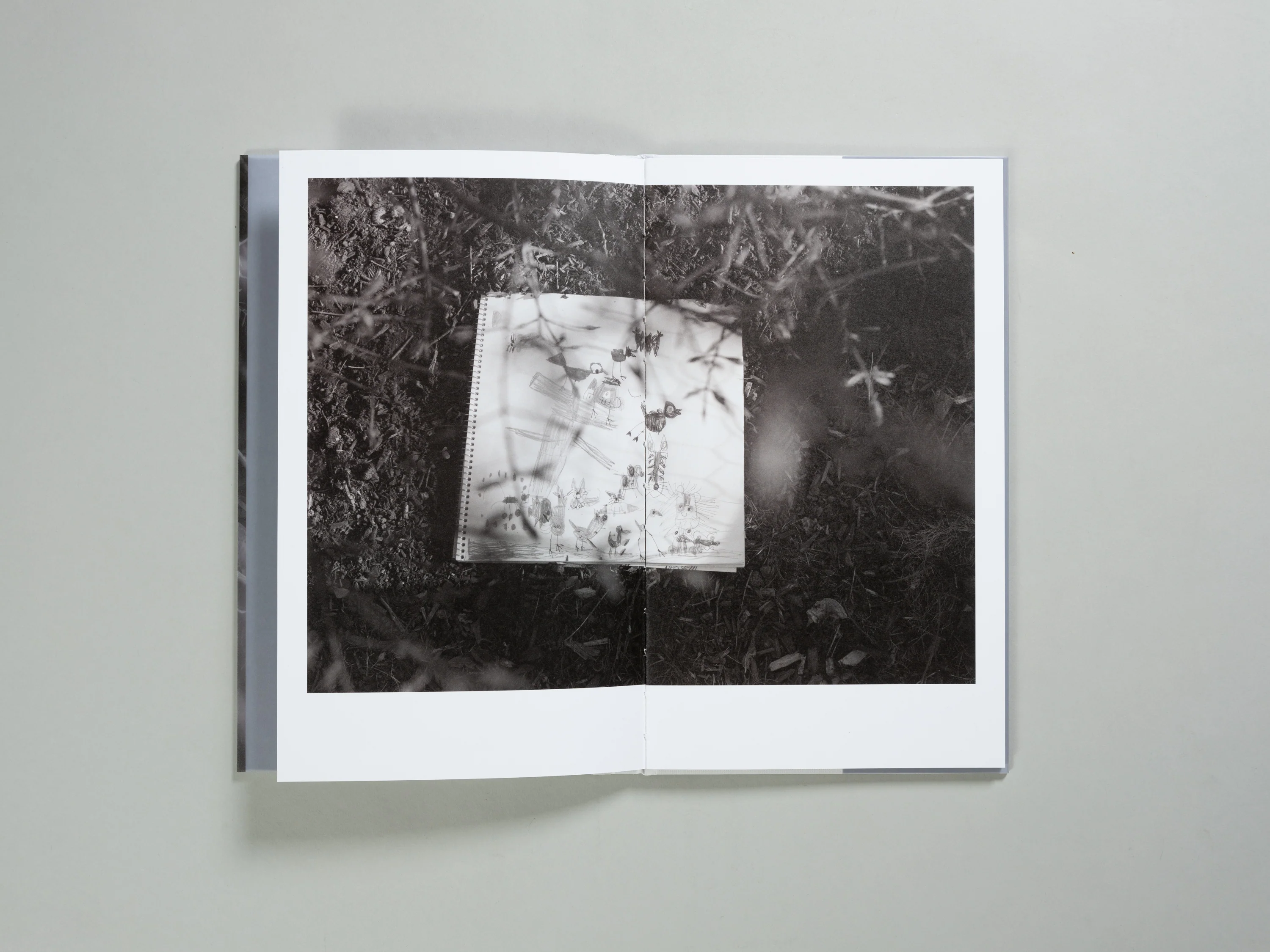 Alexander Knudsen - Mourning Dove - Image 4