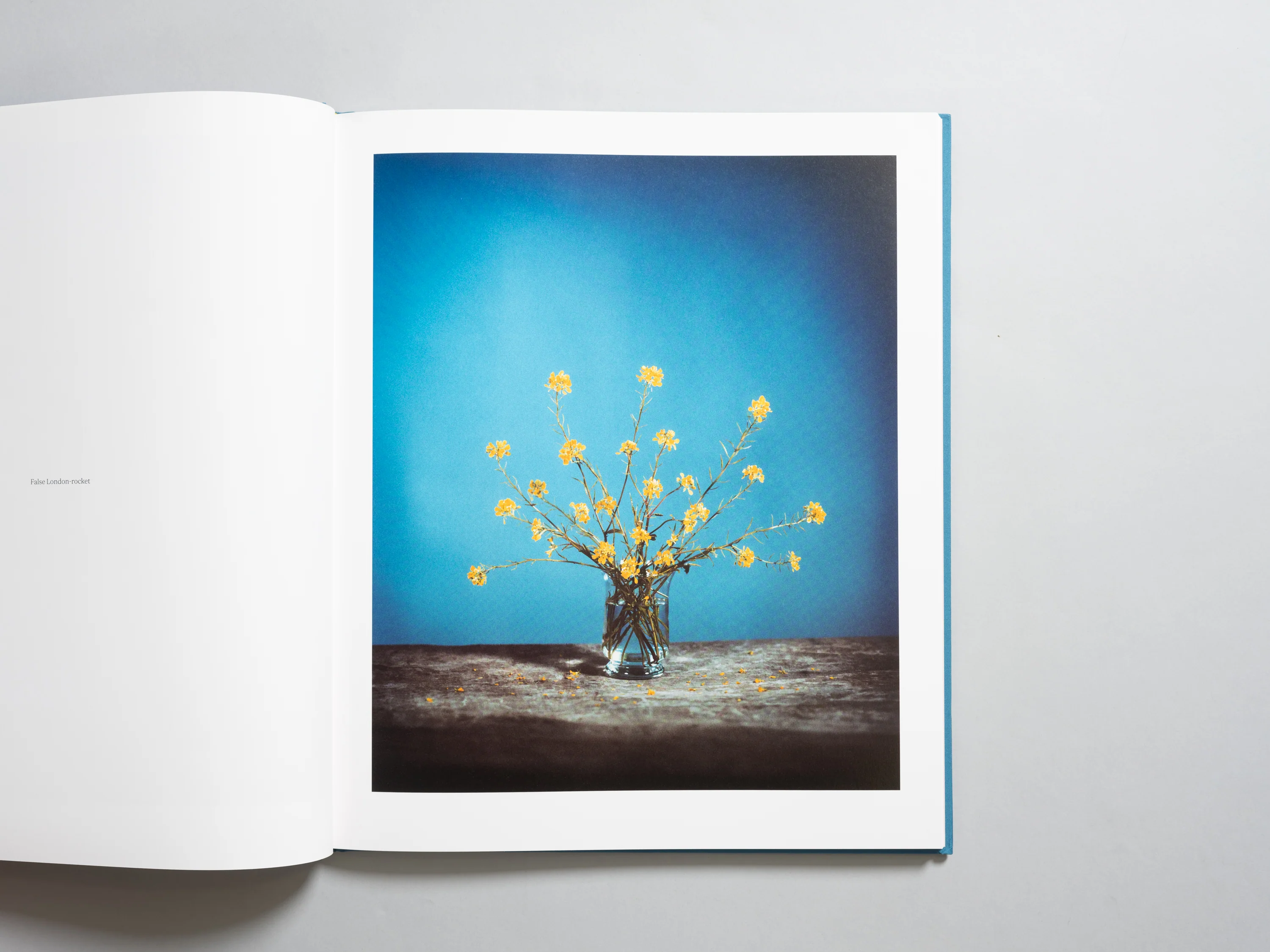 Brendan Barry - Flowers for Bea - Image 3