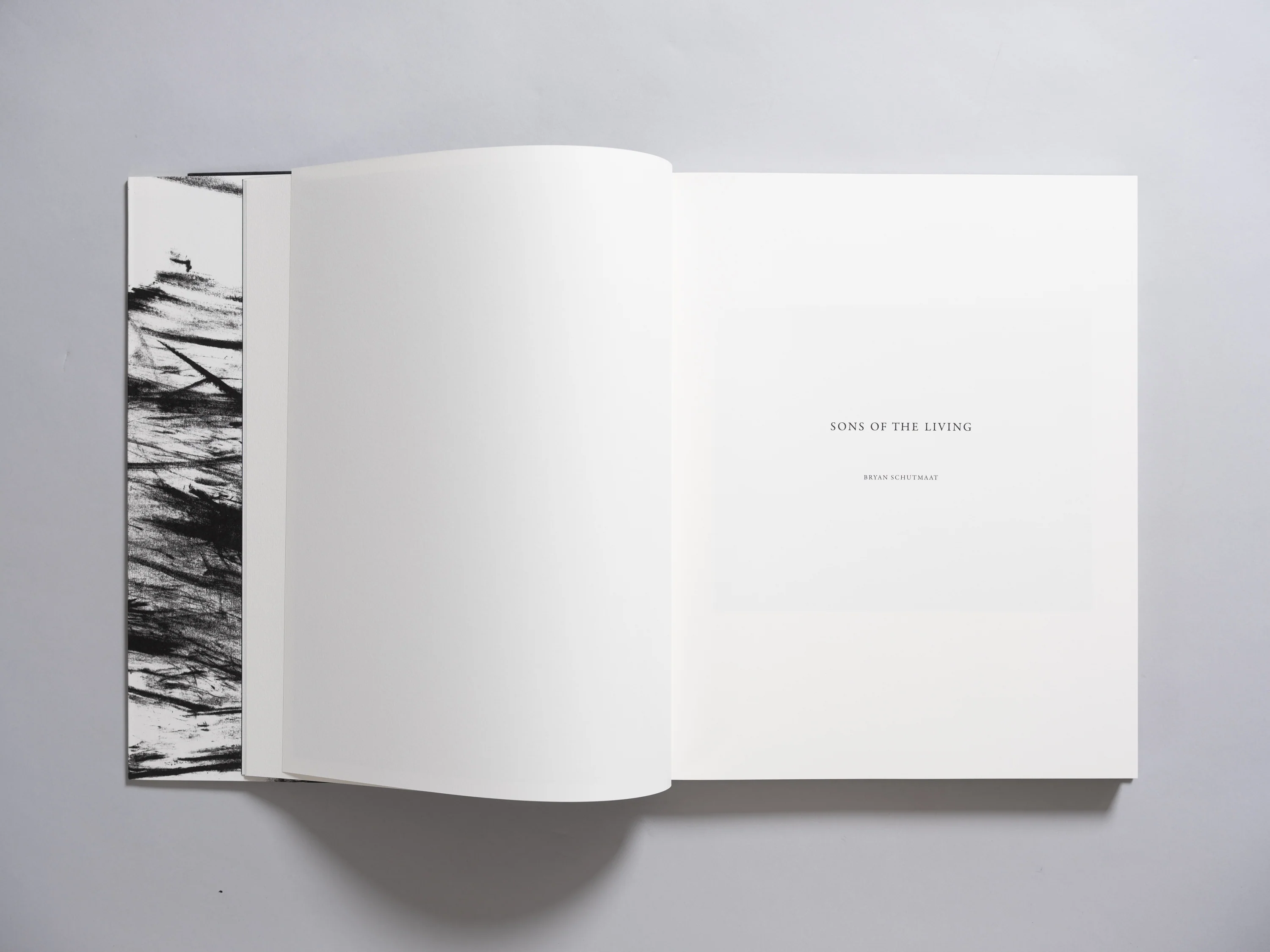 Bryan Schutmaat - Sons of the Living (Signed Second Printing) - Image 3