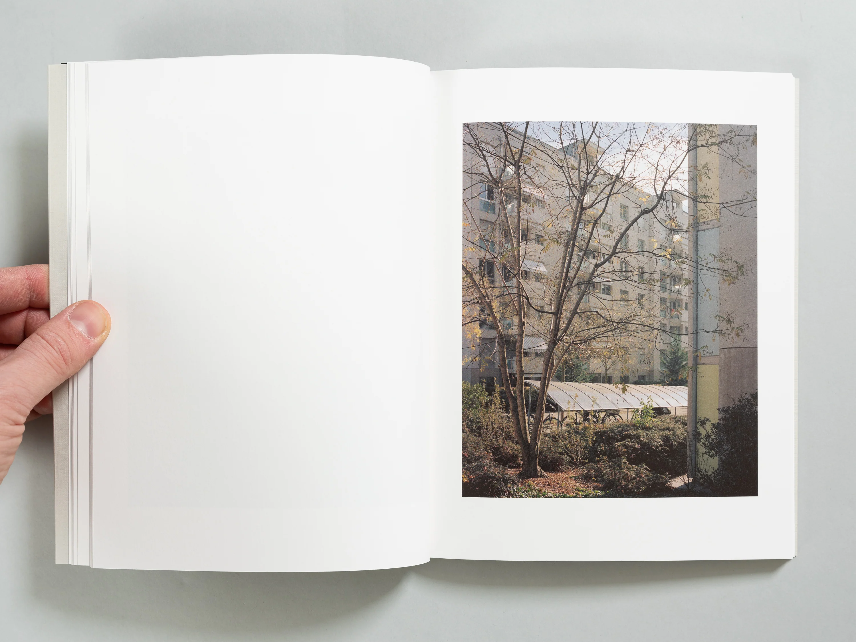 Carl Wooley - Collider - Image 5
