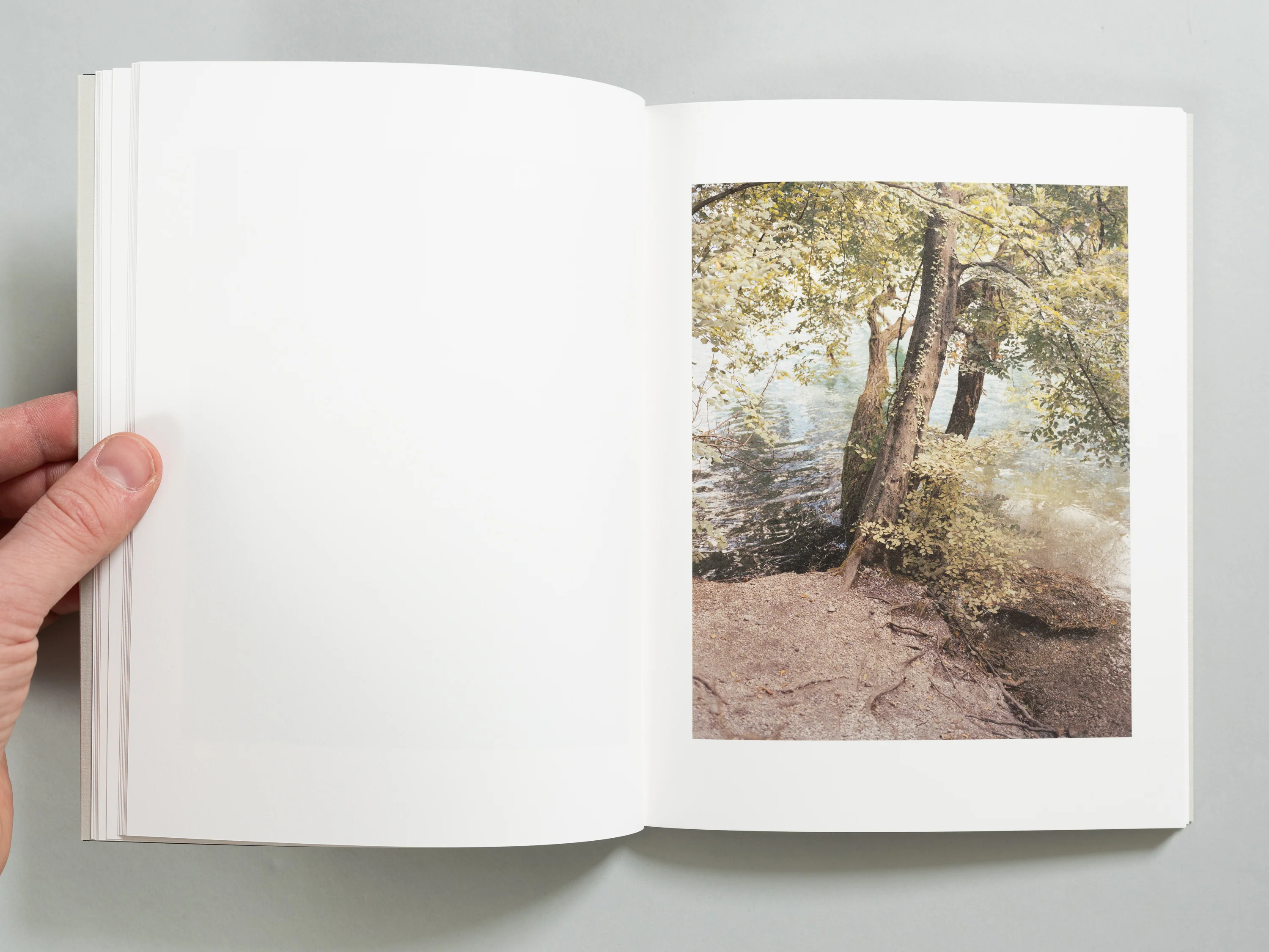 Carl Wooley - Collider - Image 6