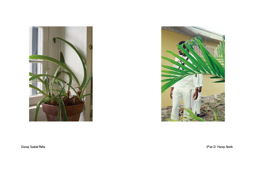 A New Nothing - No. 3 - Image 6