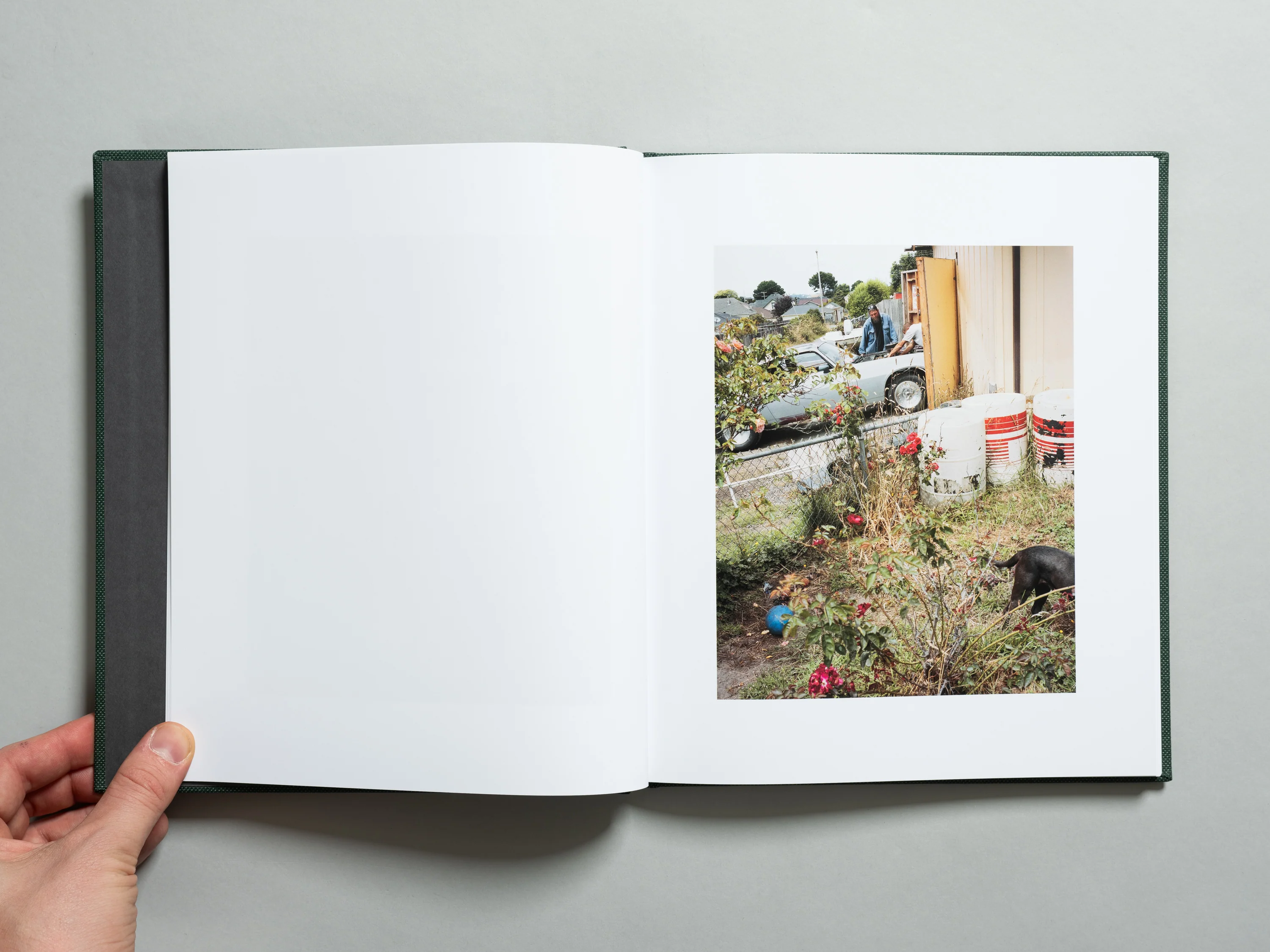 Curran Hatleberg - Lost Coast (Second Edition) - Image 3