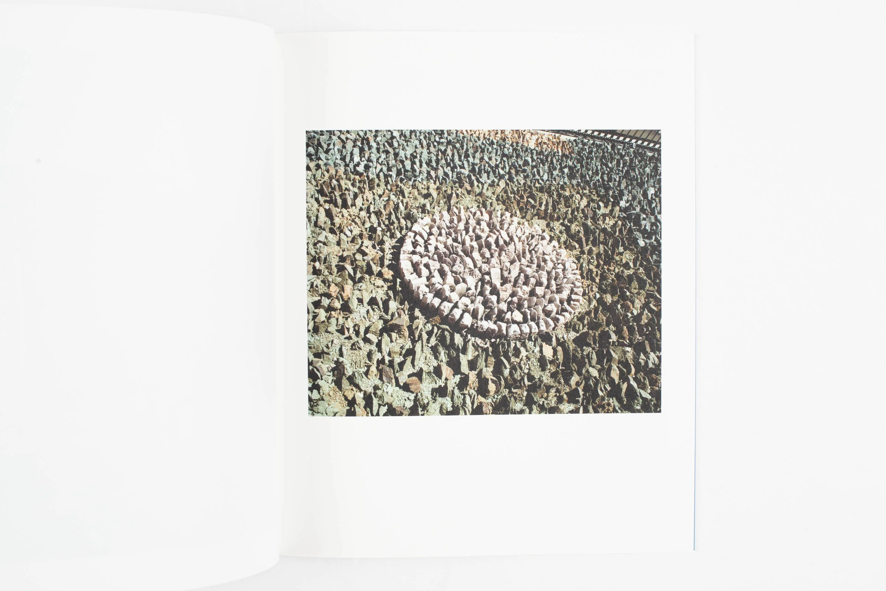 Dane Pollok - Honeymoon (Special Edition) - Image 5