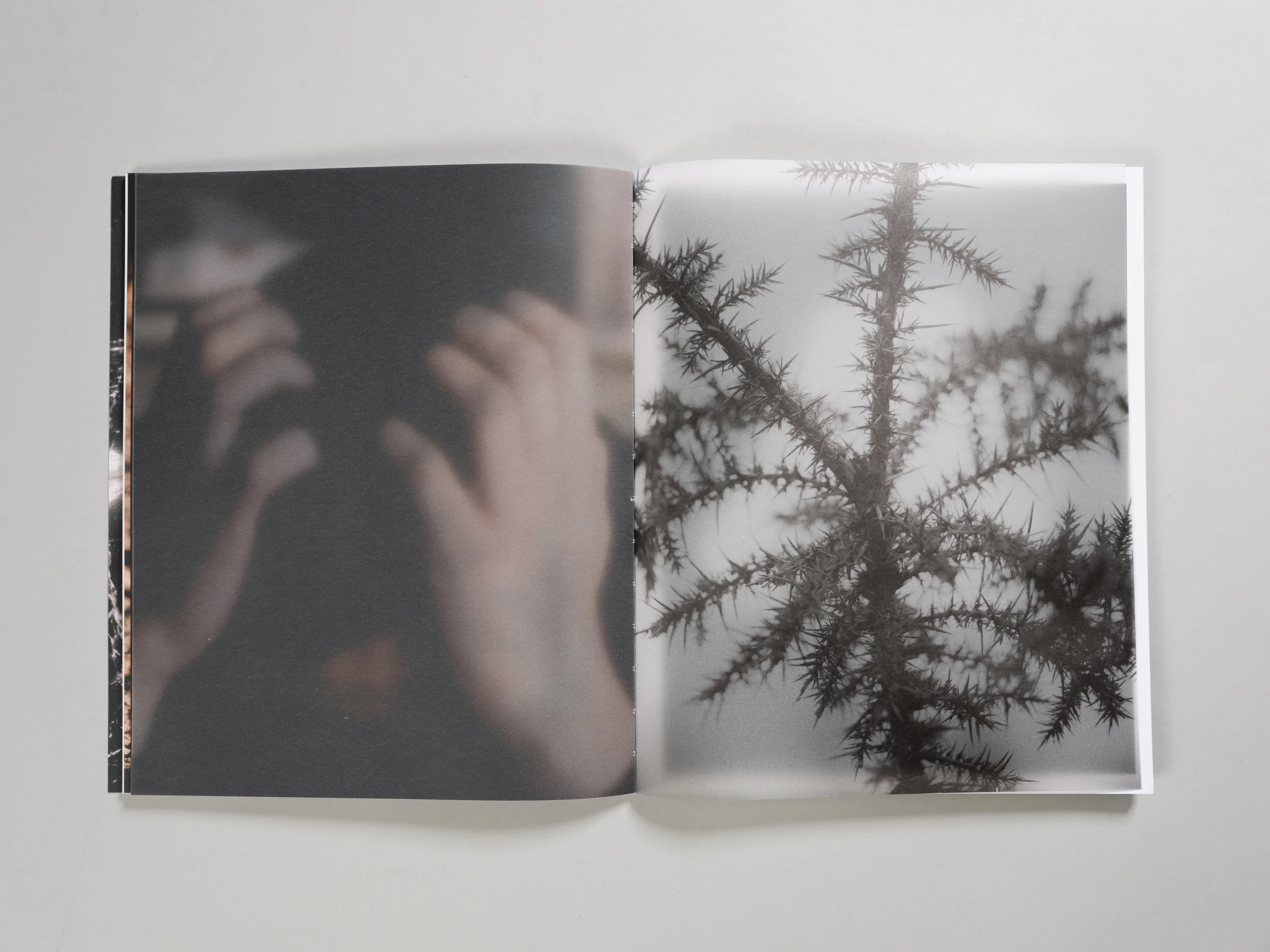 Elliott Kreyenberg - Something Was Missing Within - Image 8
