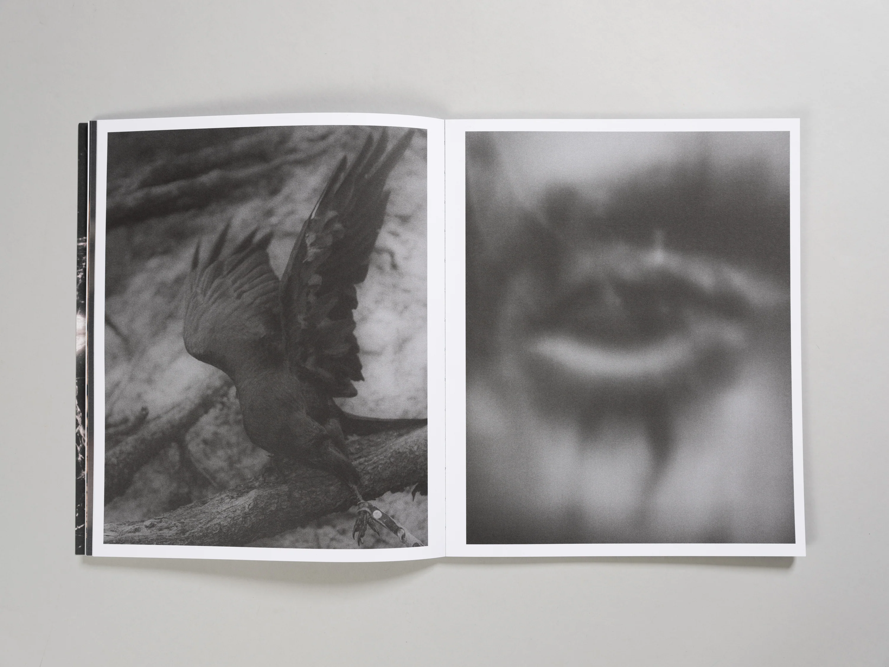 Elliott Kreyenberg - Something Was Missing Within - Image 9