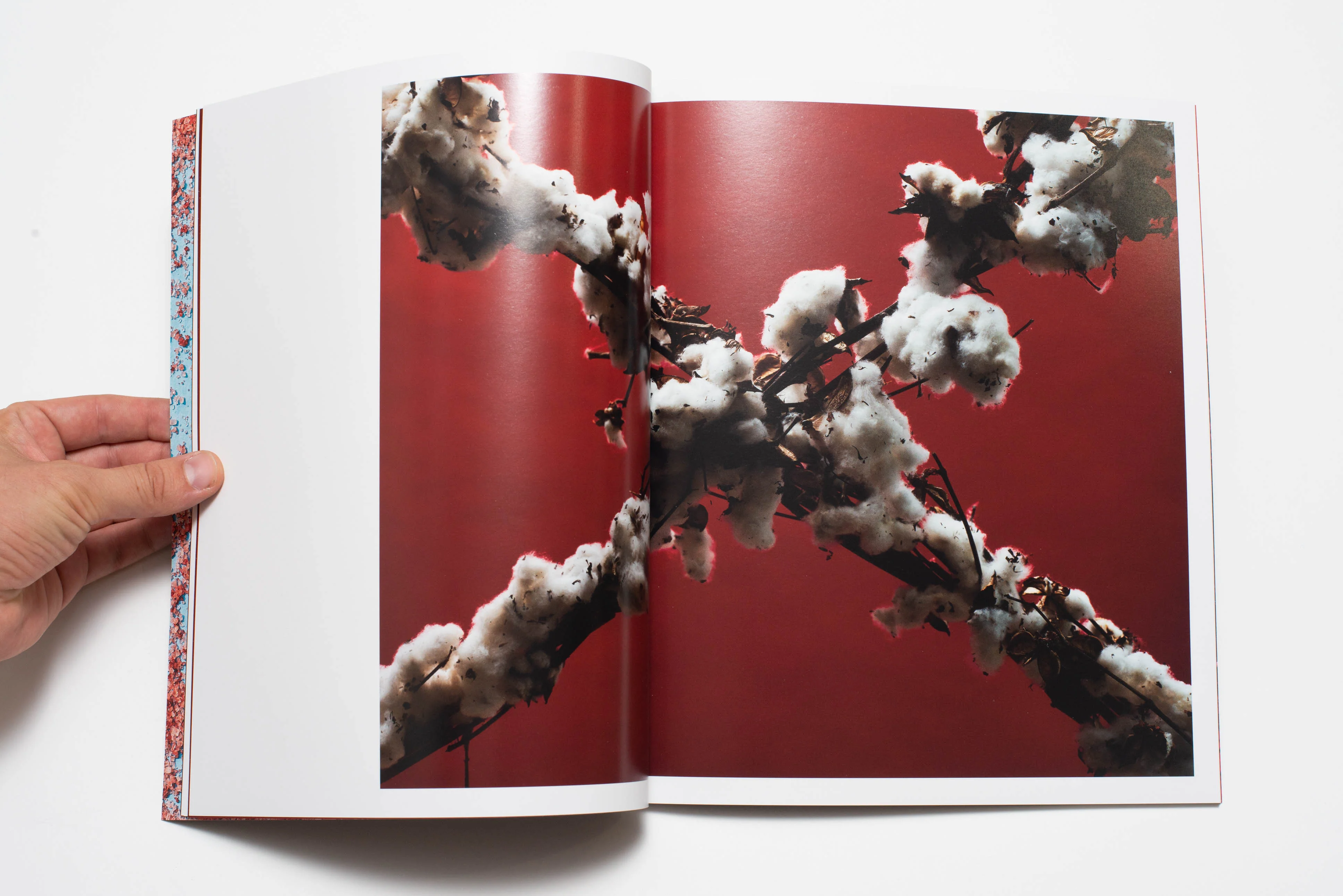 Frank Frances - Remember the South - Image 3