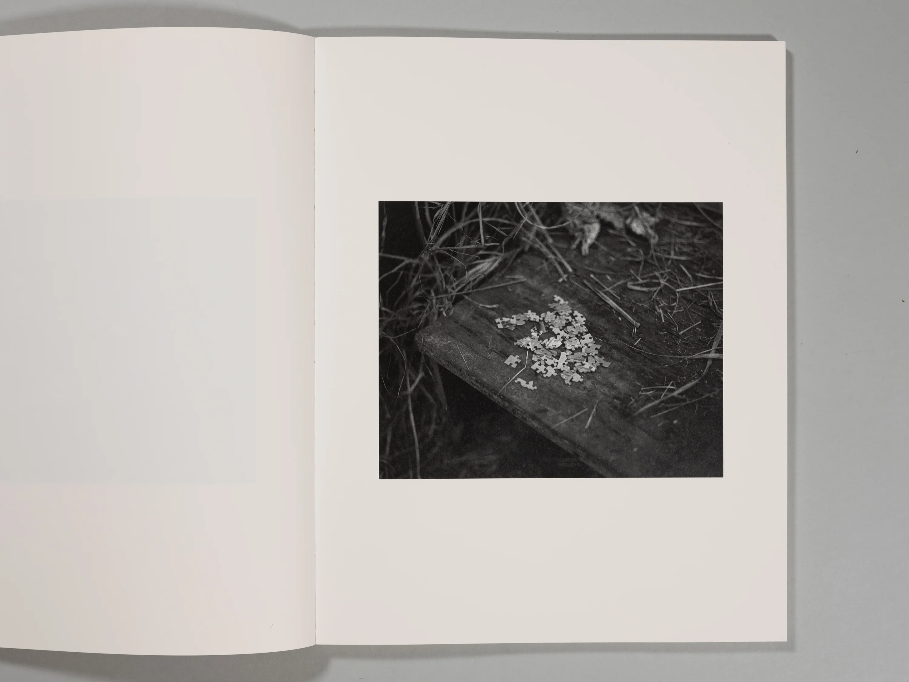 Jacopo Papucci - The Attachment Theory - Image 2