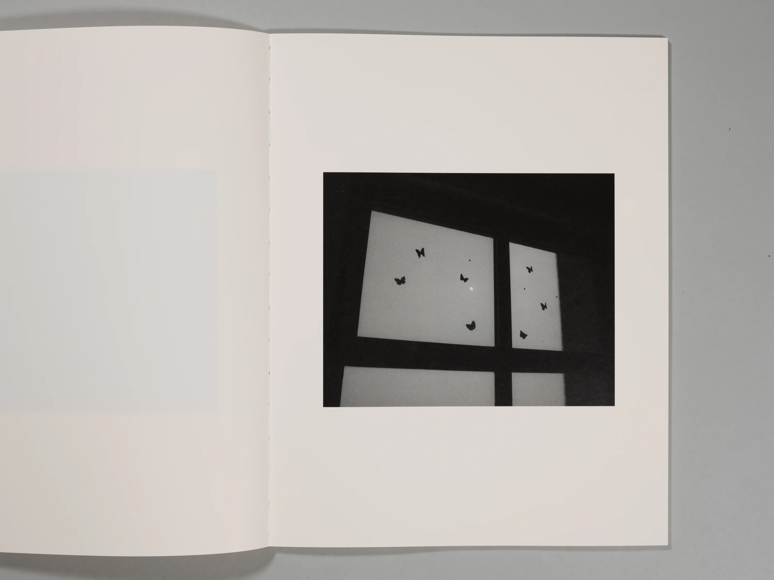 Jacopo Papucci - The Attachment Theory - Image 7