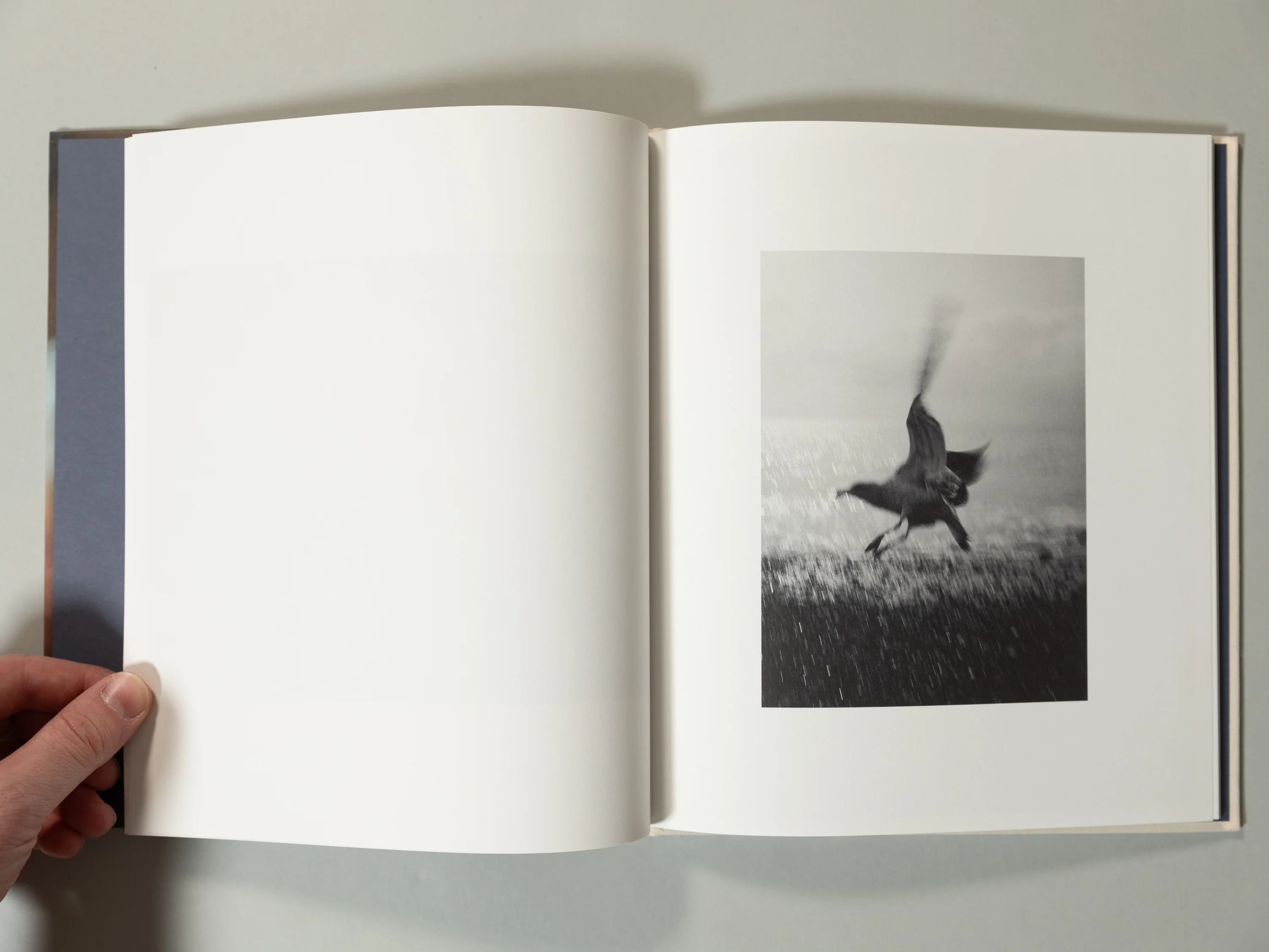 Jan Lehner - Yield - Image 4
