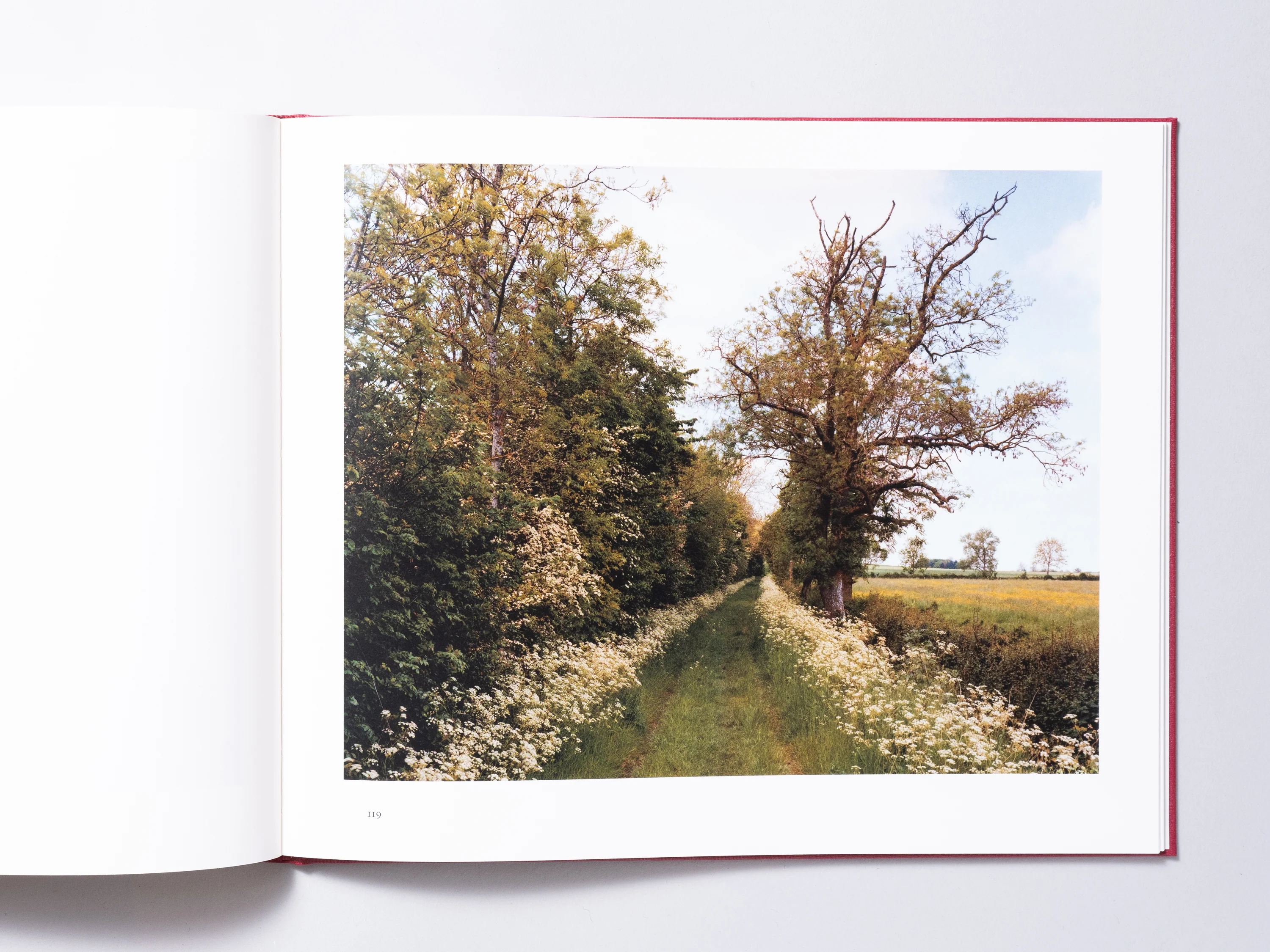 John Spinks - Harrowdown Hill (Signed) - Image 10
