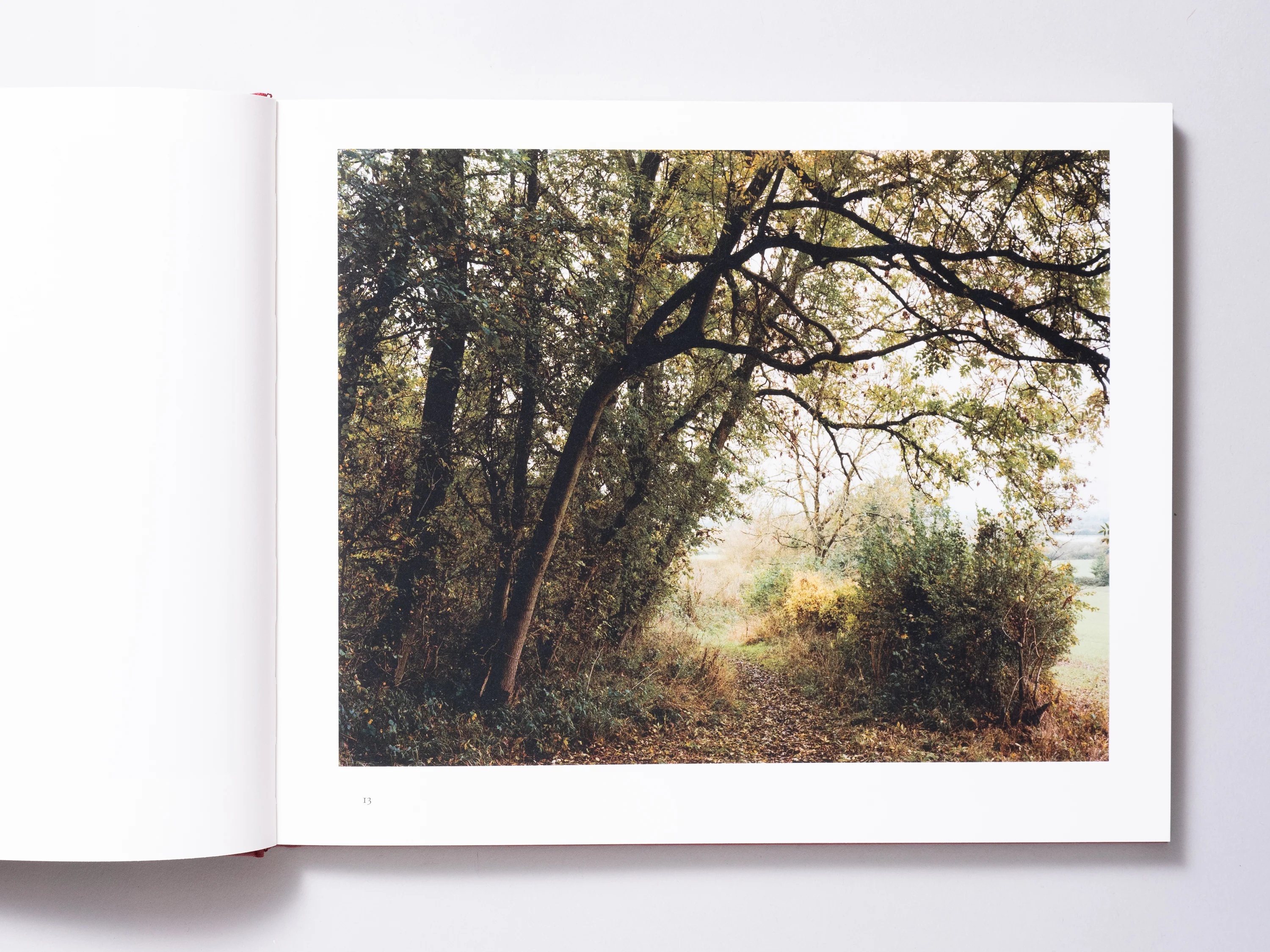John Spinks - Harrowdown Hill (Signed) - Image 2