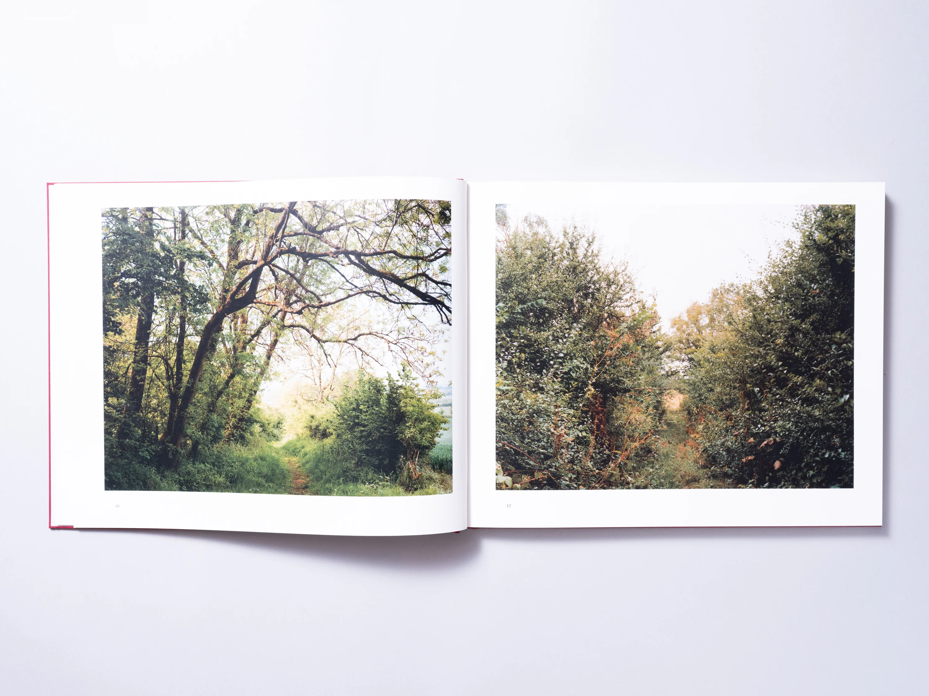 John Spinks - Harrowdown Hill (Signed) - Image 3