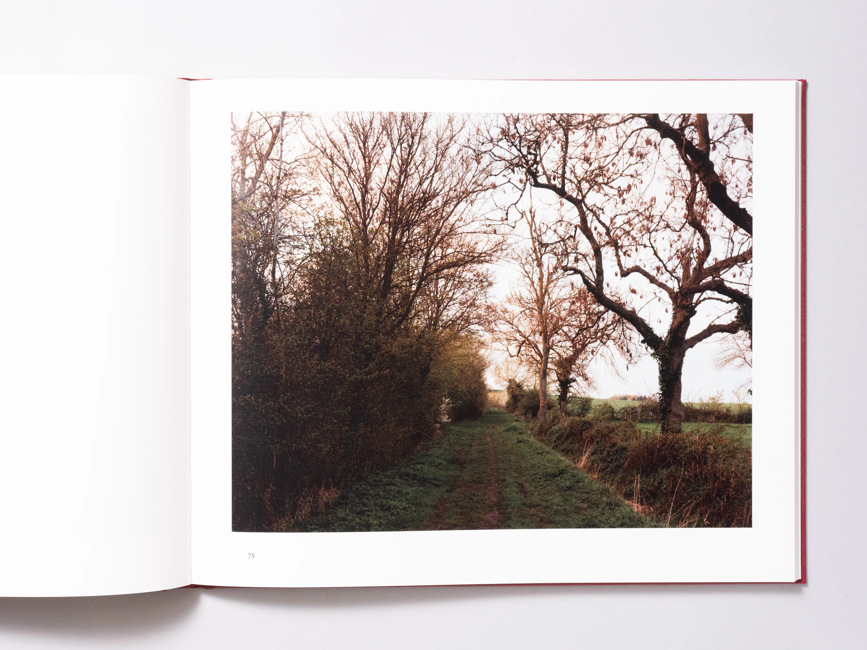 John Spinks - Harrowdown Hill (Signed) - Image 7