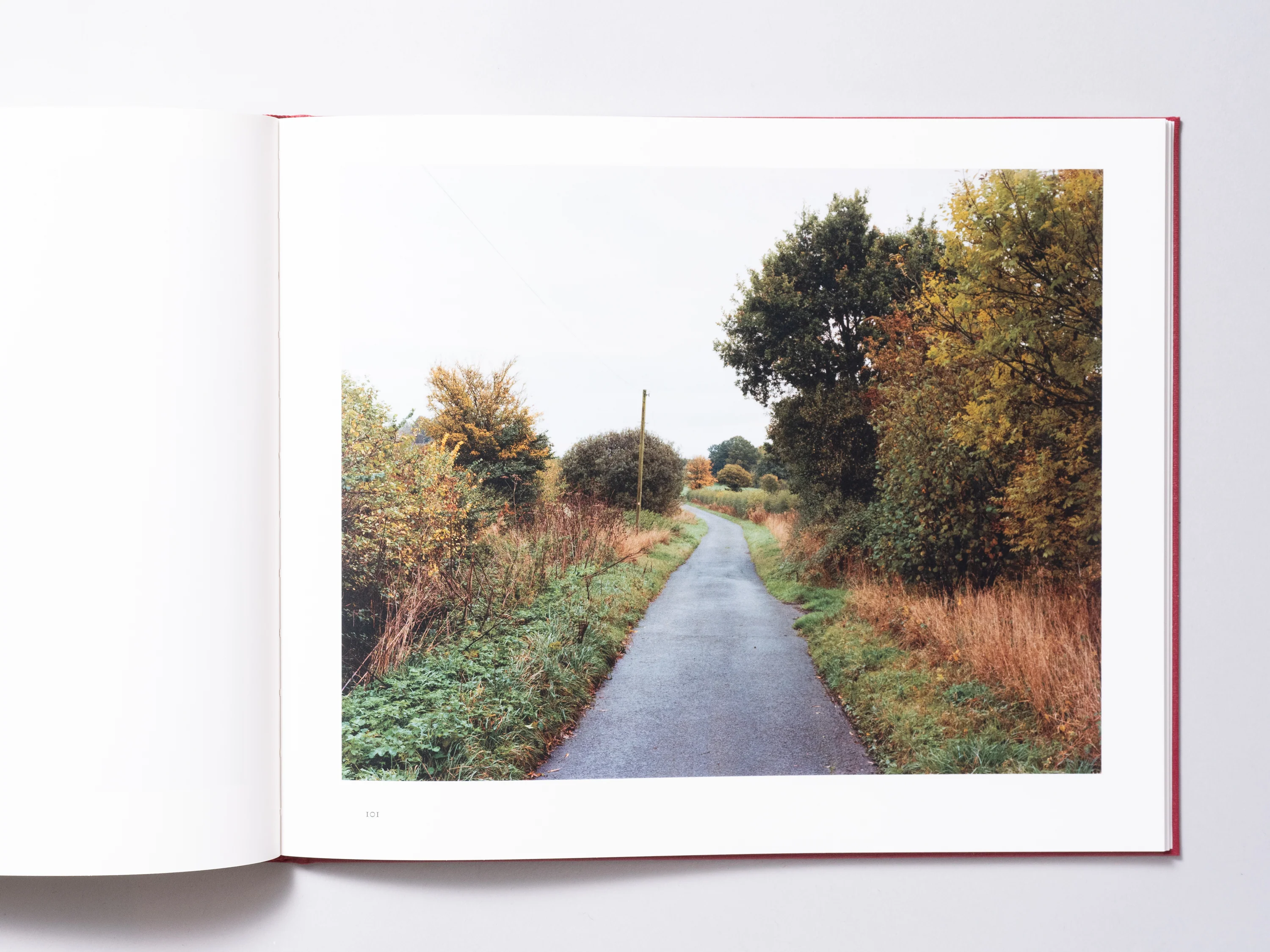 John Spinks - Harrowdown Hill (Signed) - Image 9