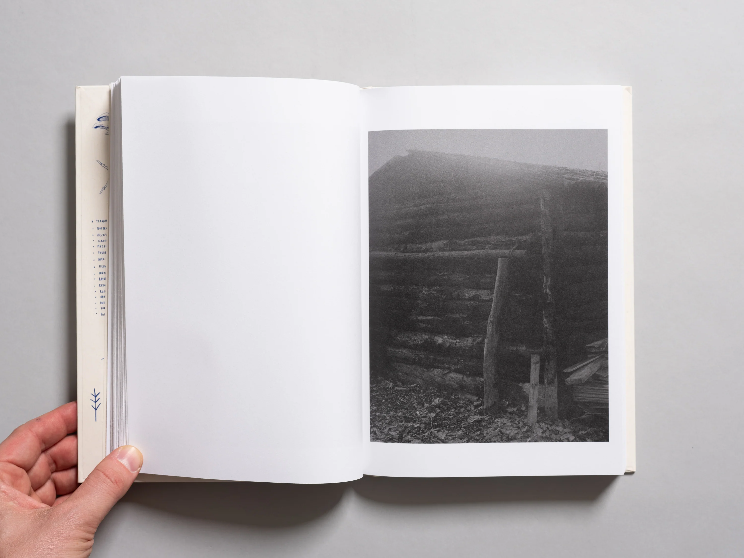 Joselito Verschaeve - As Long as the Sun Lasts - Image 6