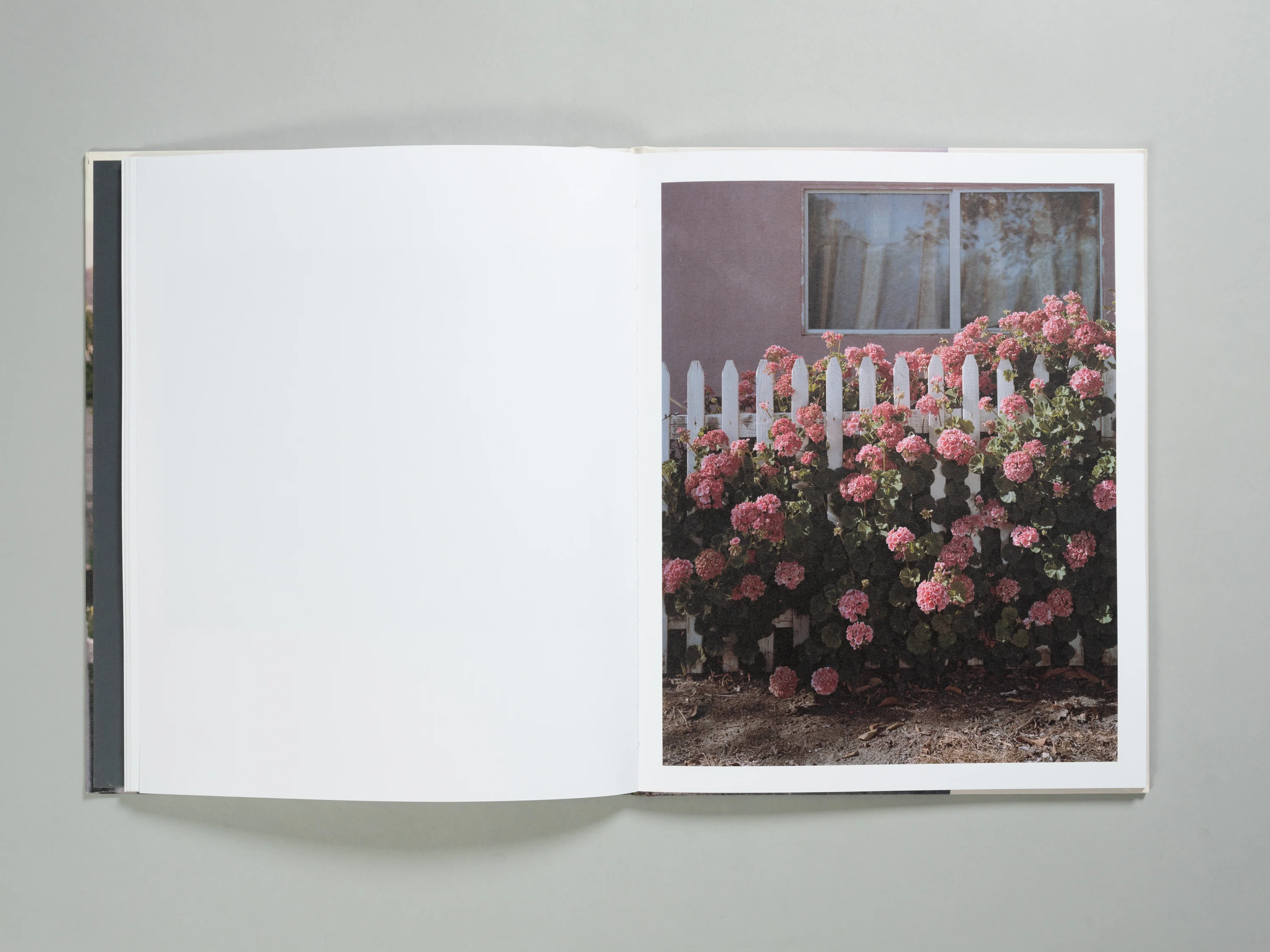 Kathya Maria Landeros - Verdant Land - Image 8