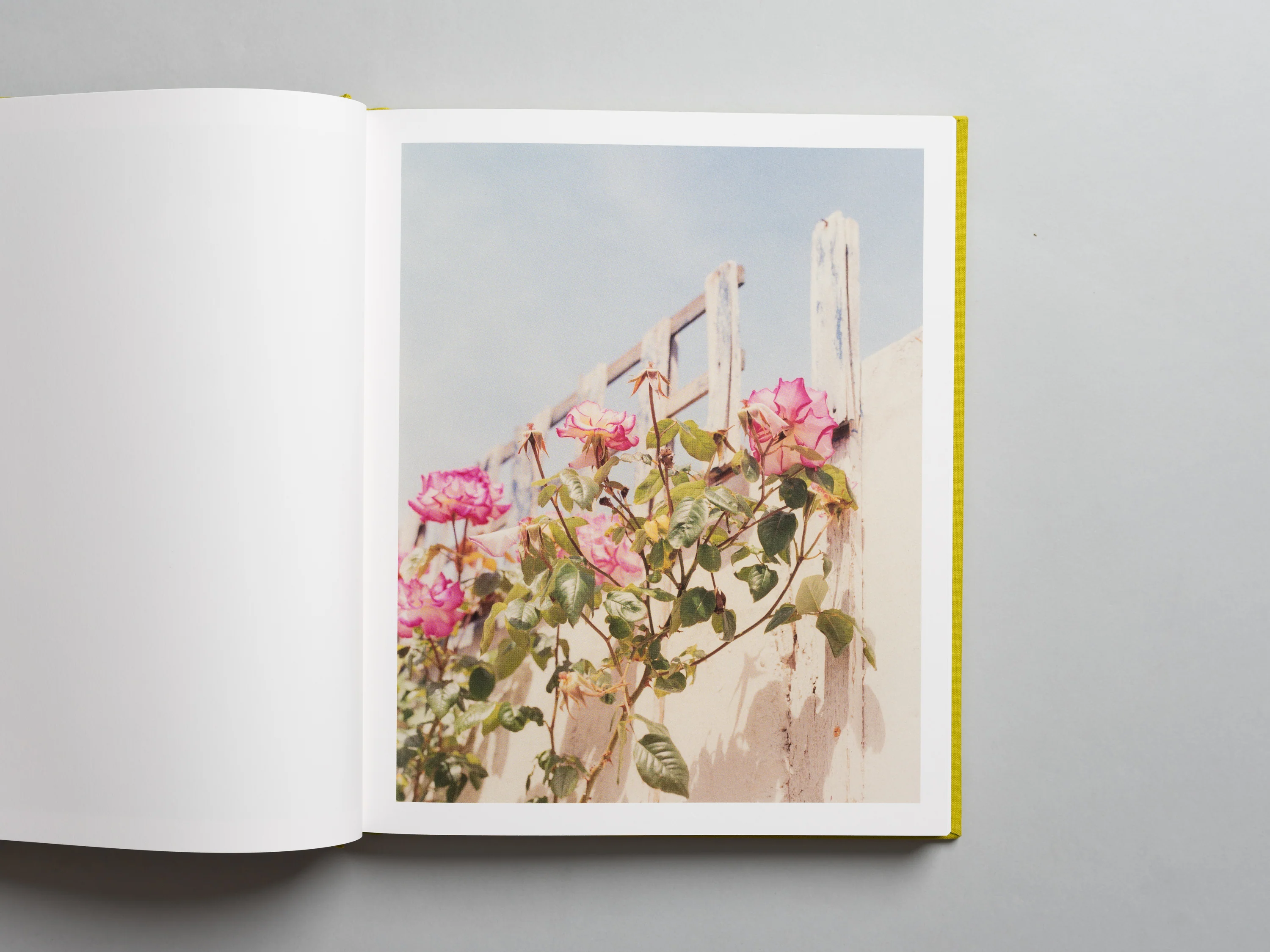Laura McCluskey - Close to Home - Image 3