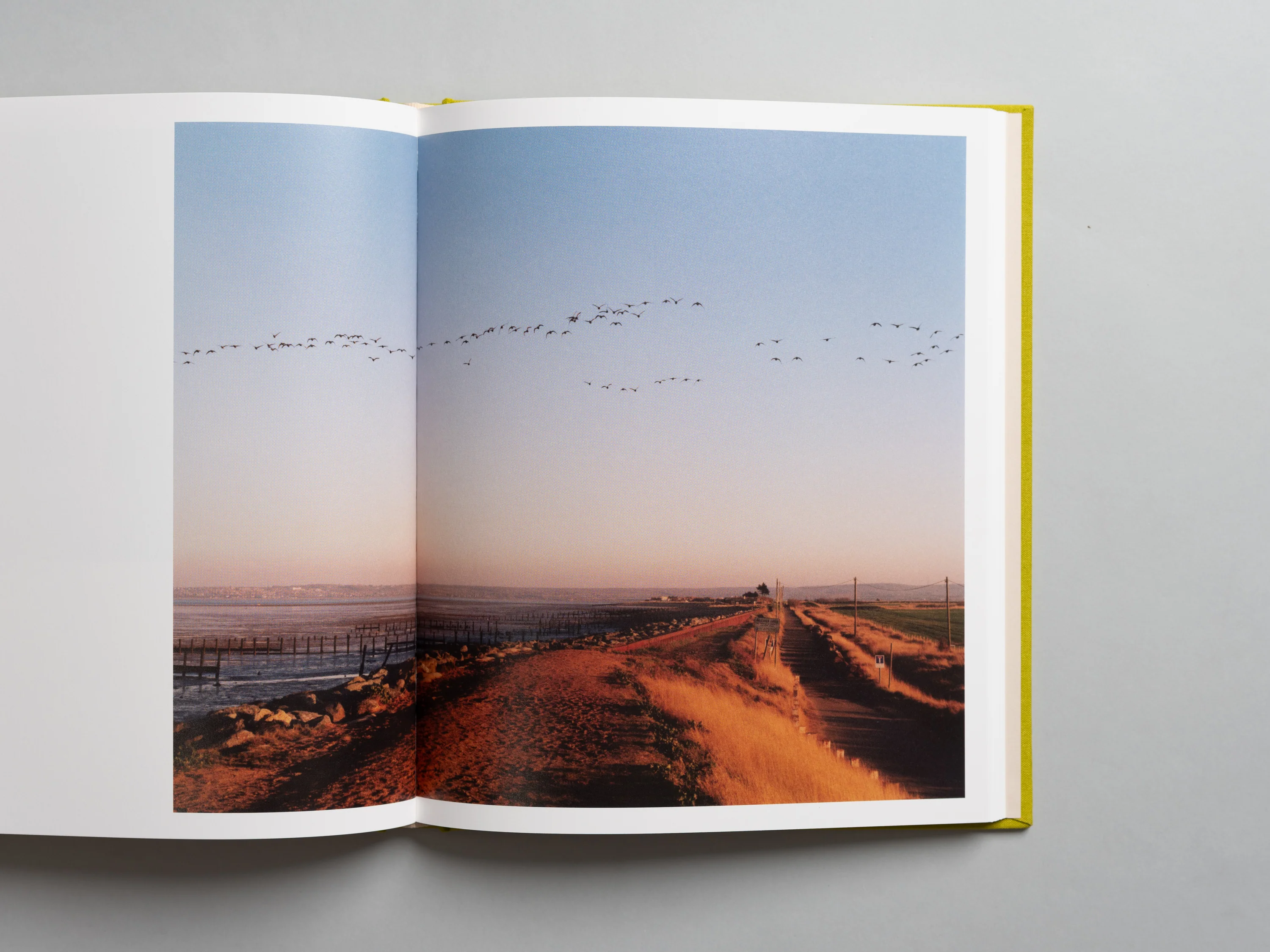 Laura McCluskey - Close to Home - Image 7