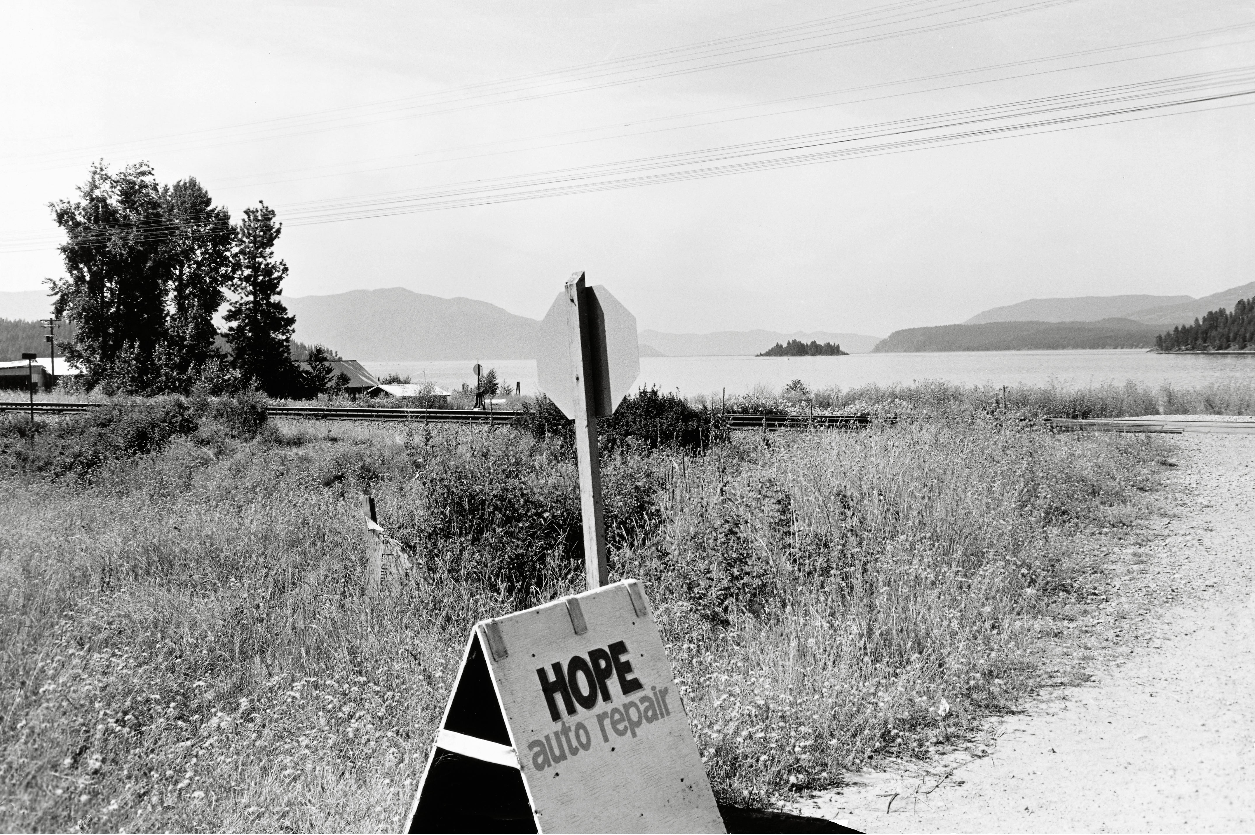 Pre-Order: Lee Friedlander - Life Still - Image 11