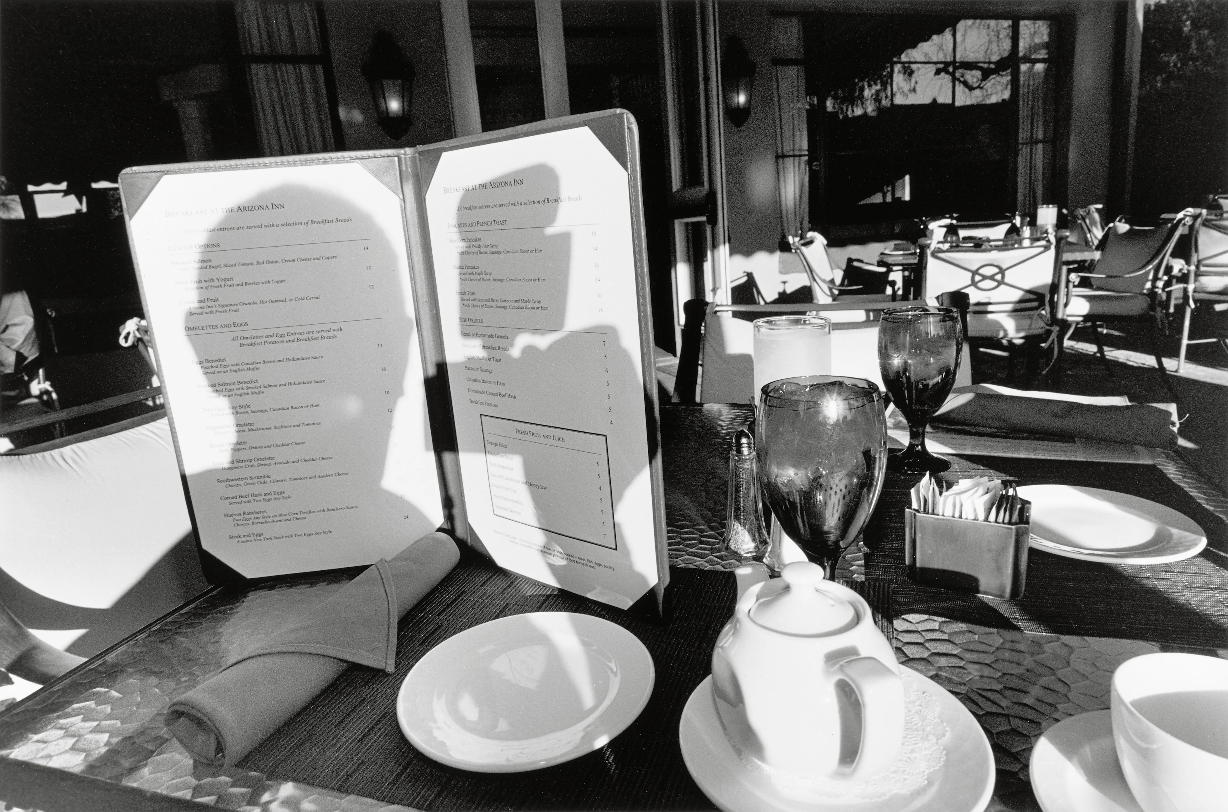 Pre-Order: Lee Friedlander - Life Still - Image 15