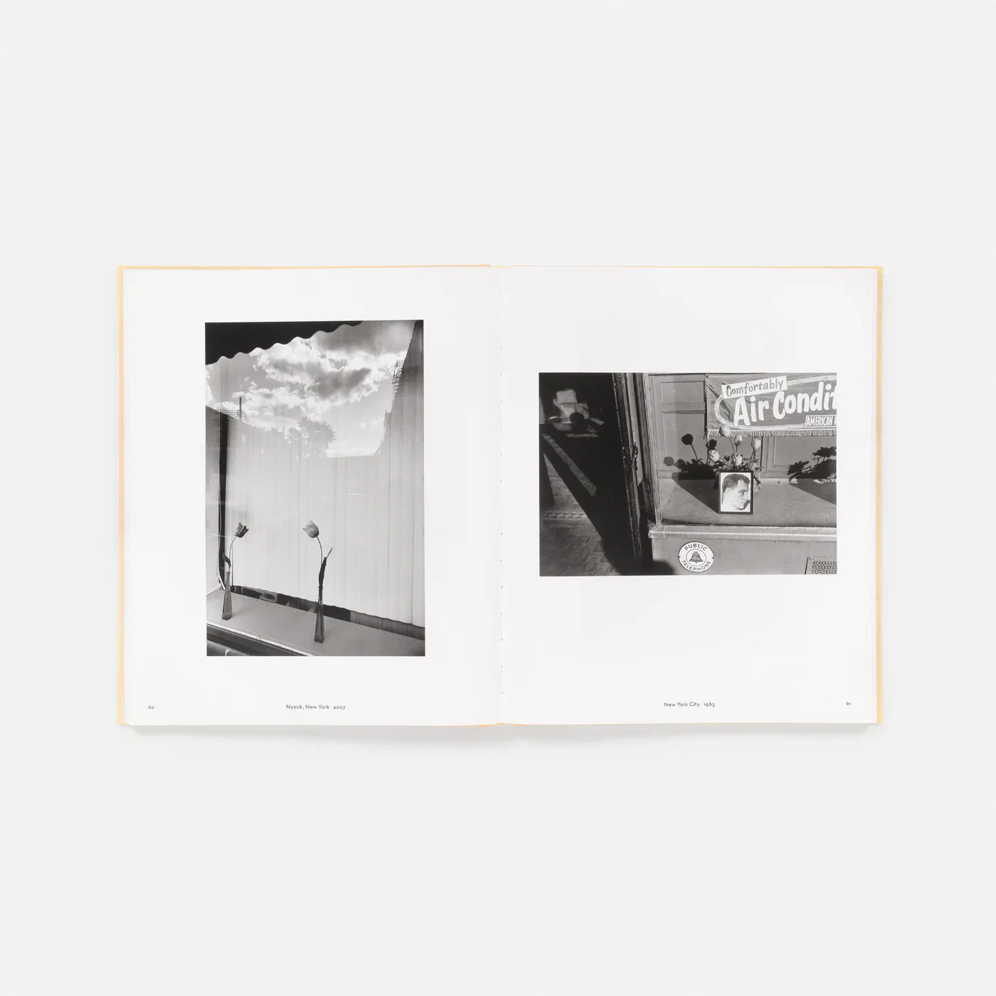 Pre-Order: Lee Friedlander - Life Still - Image 5