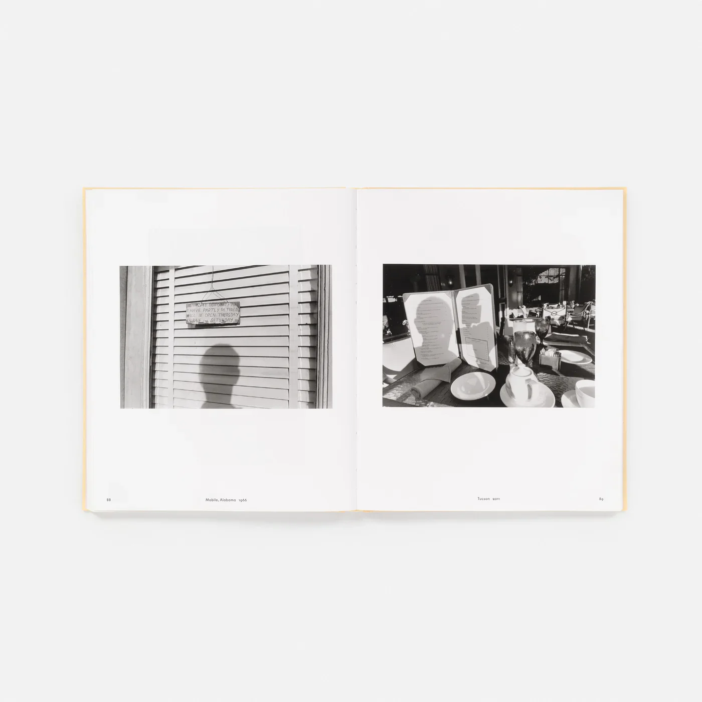 Pre-Order: Lee Friedlander - Life Still - Image 7