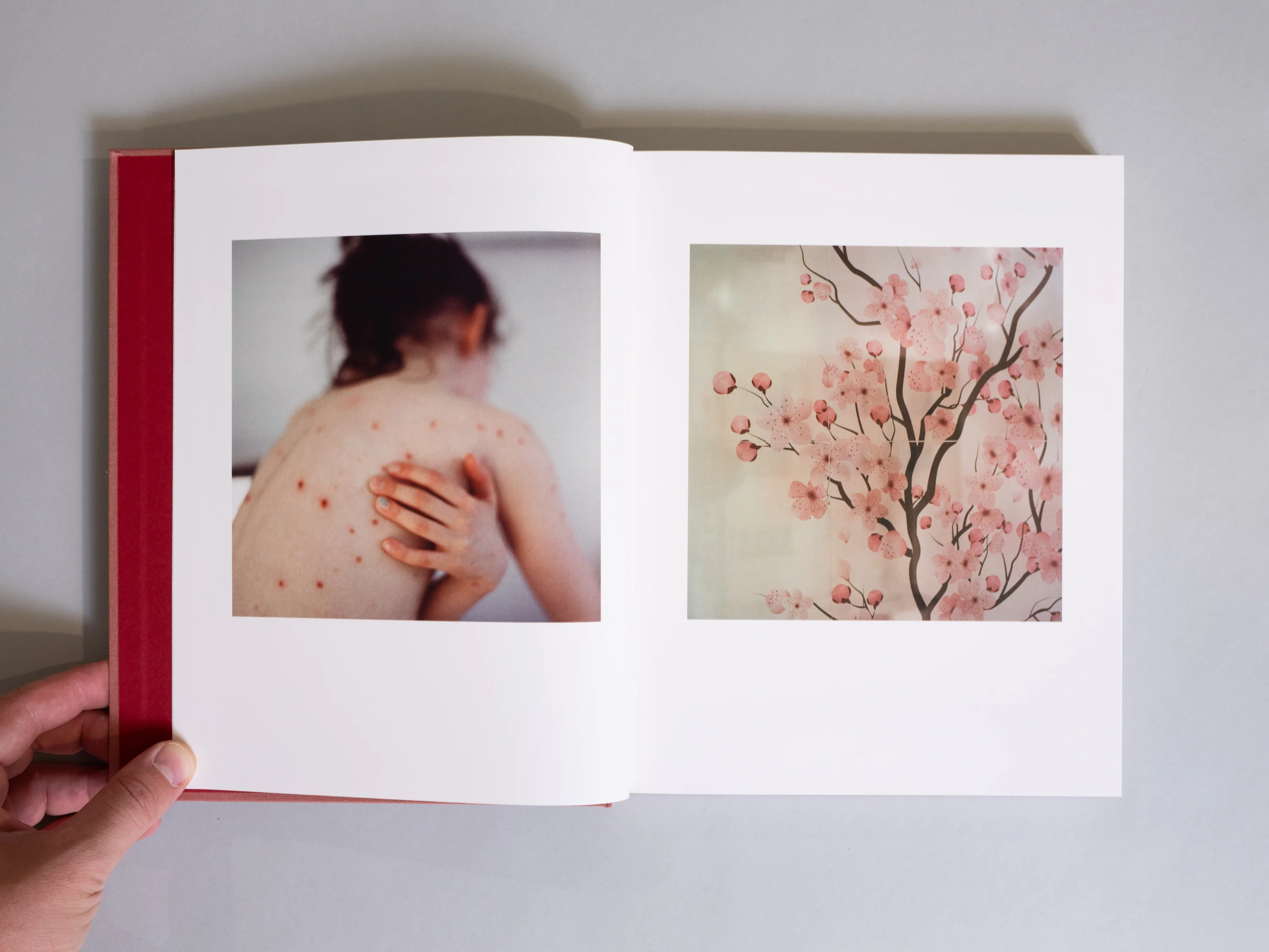 Lydia Goldblatt - Fugue - Image 2