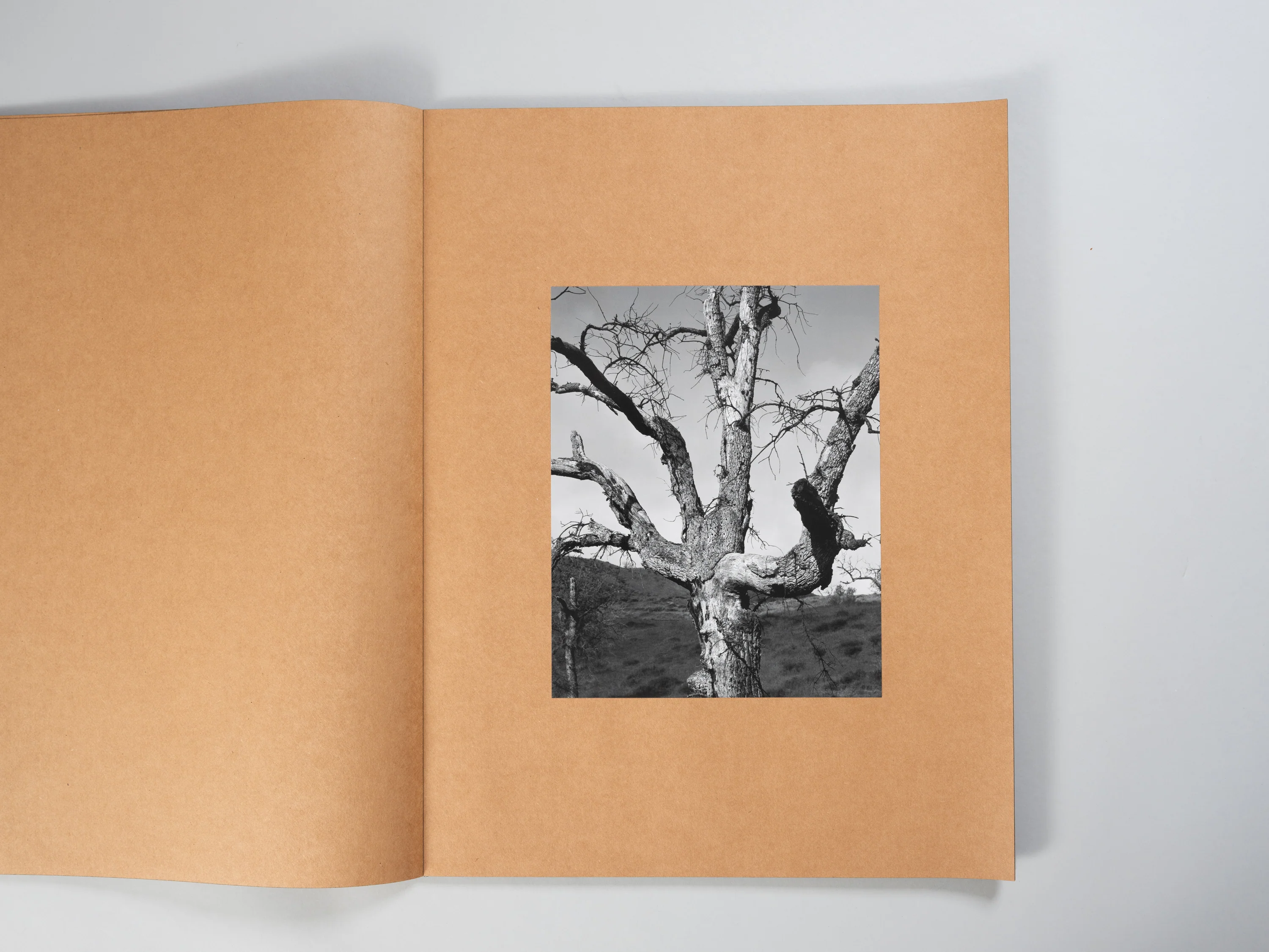 Mark Armijo McKnight - Posthume (Signed & Numbered) - Image 5