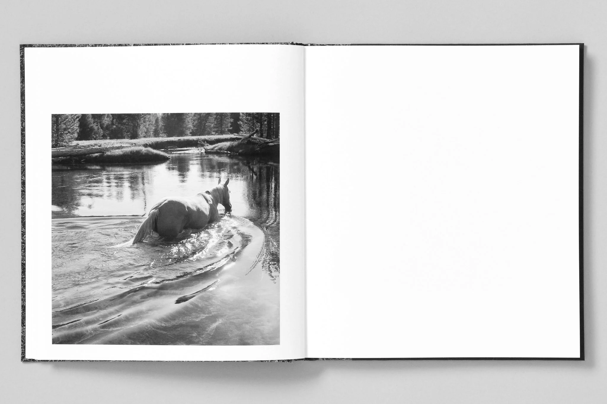Mimi Plumb - Megalith-Still - Image 8