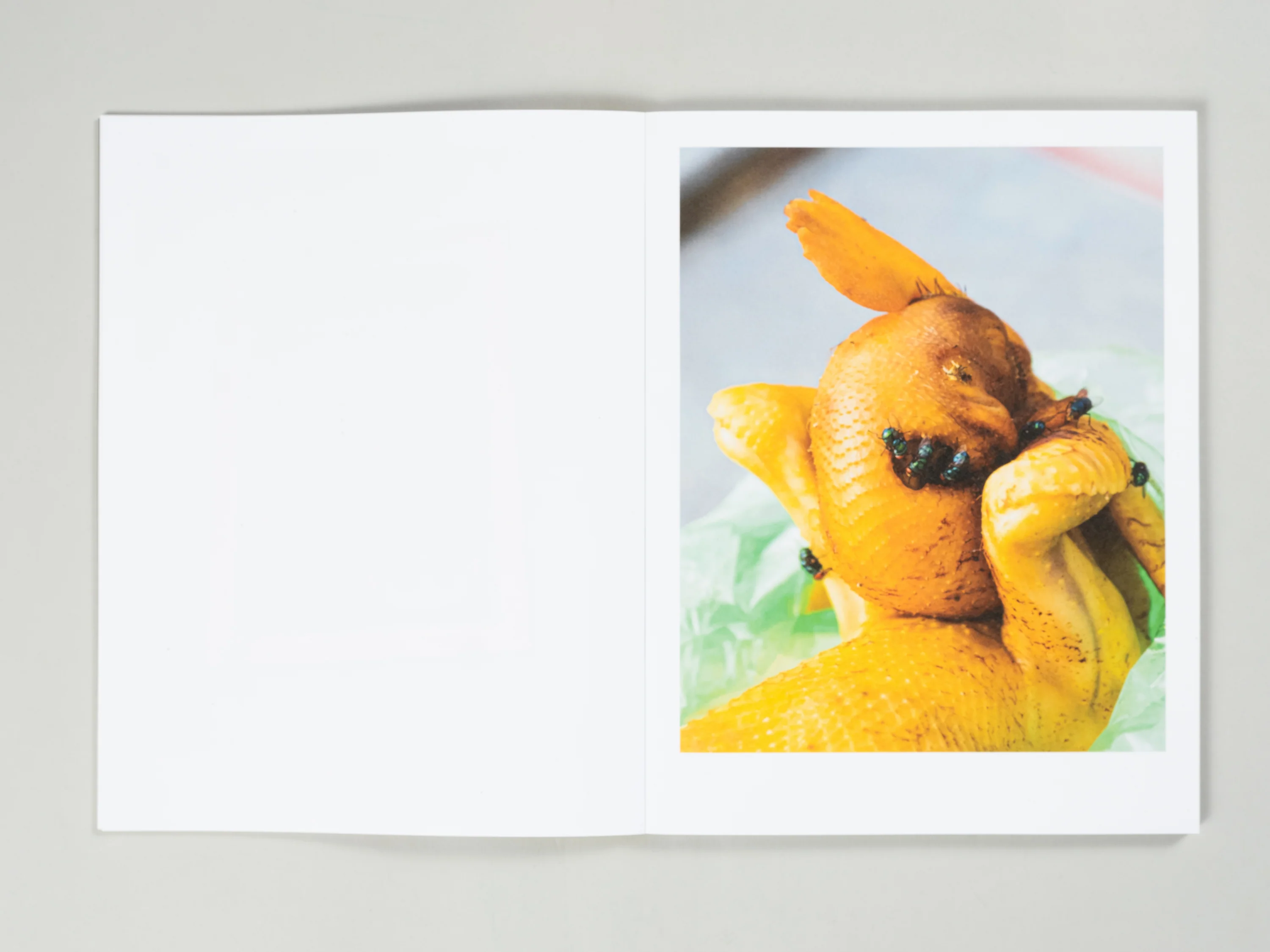 Phuong Nguyen - Sunshine - Image 4