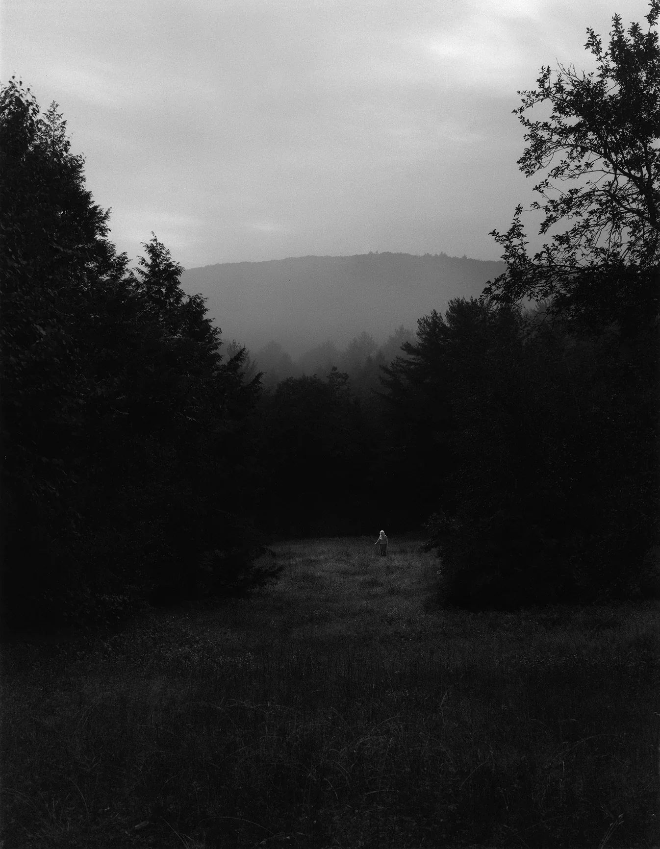 Pre-Order: Pia-Paulina Guilmoth - At Night Gardens Grow (New Edition + BPS exclusive print) - Image 3