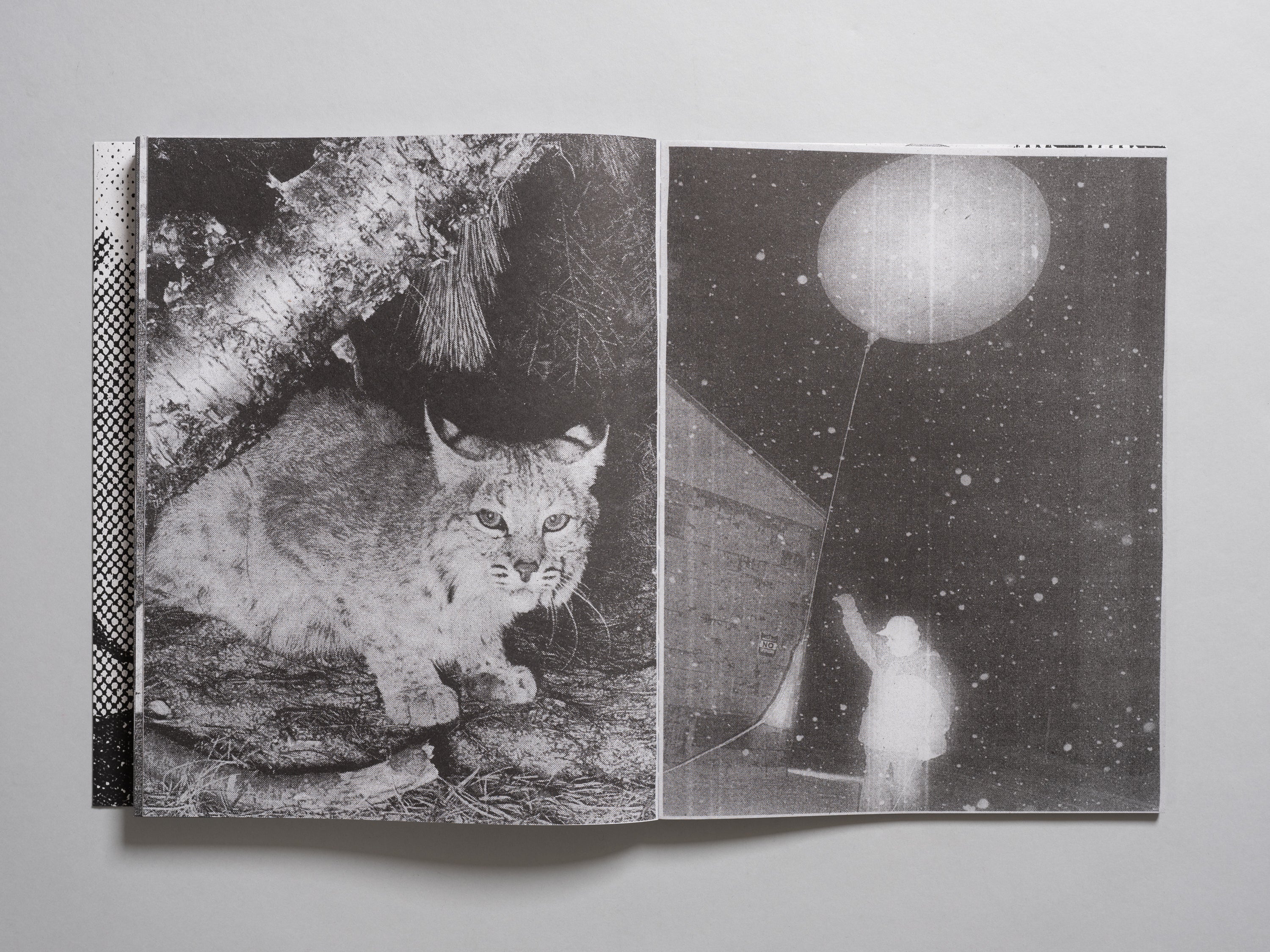 Pia P. Guilmoth & Jesse B. Saffire - Fishworm - Image 13