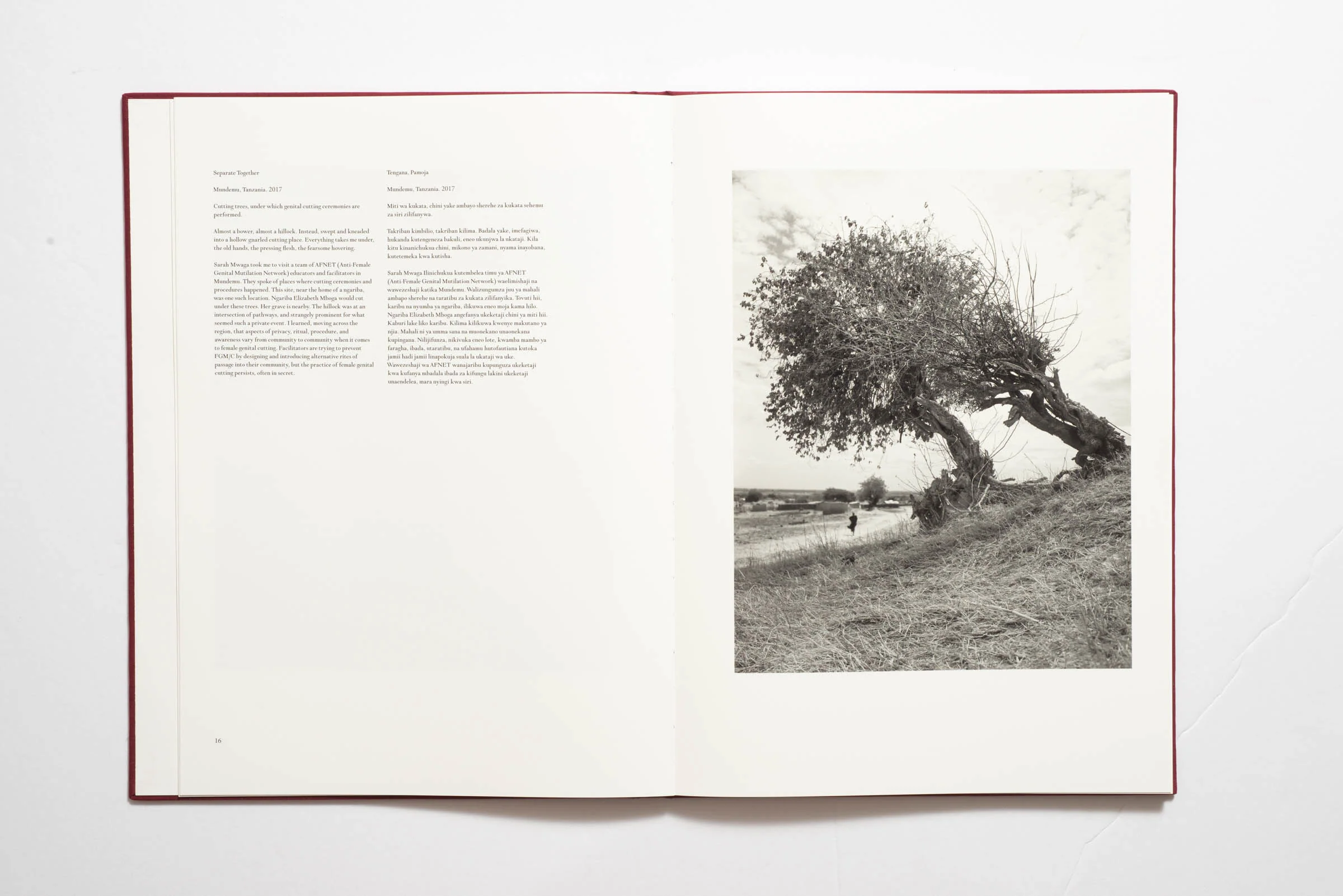 Pradip Malde - From Where Loss Comes - Image 4