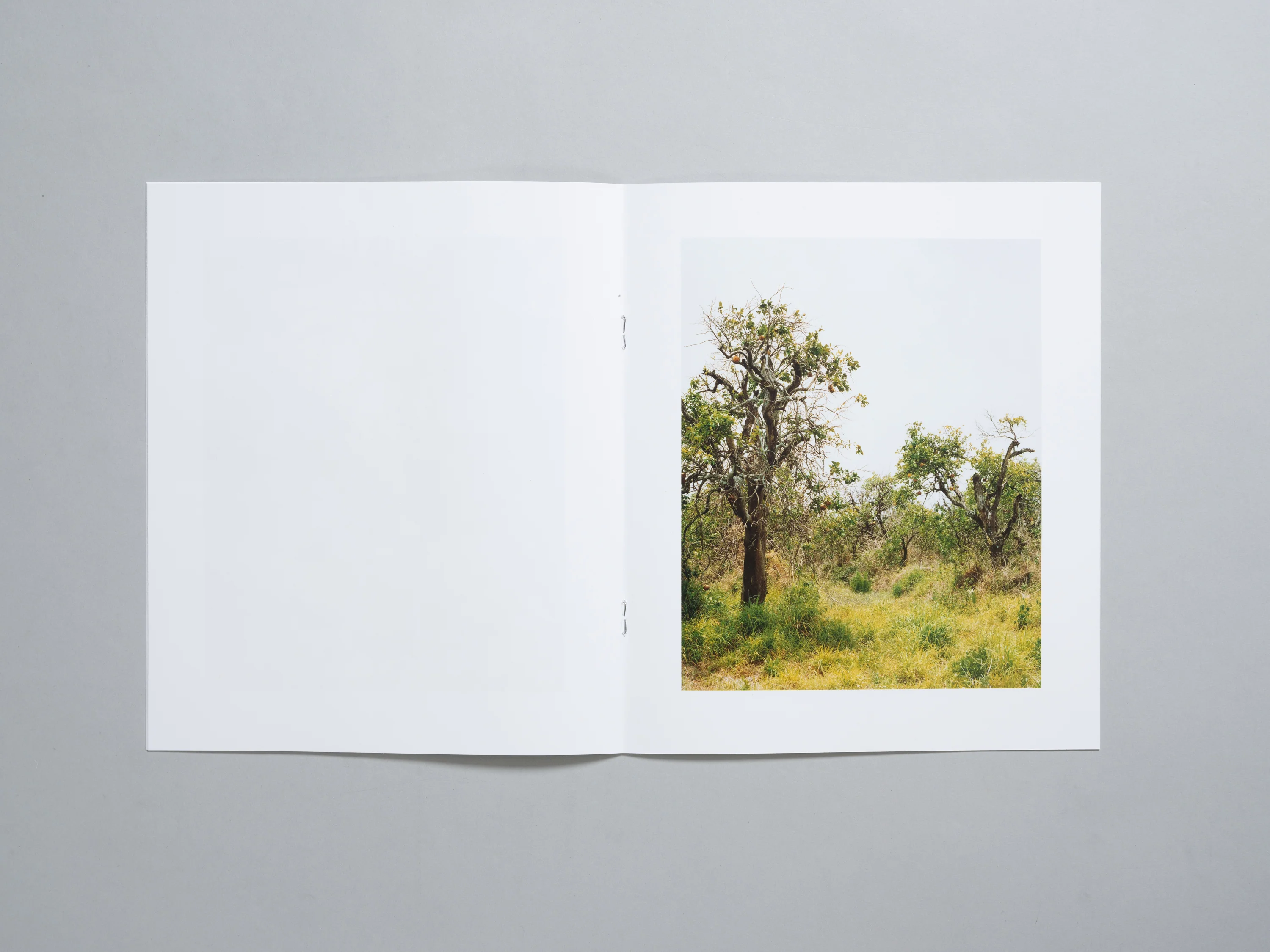 Roe Ethridge - In The Beginning - Image 11