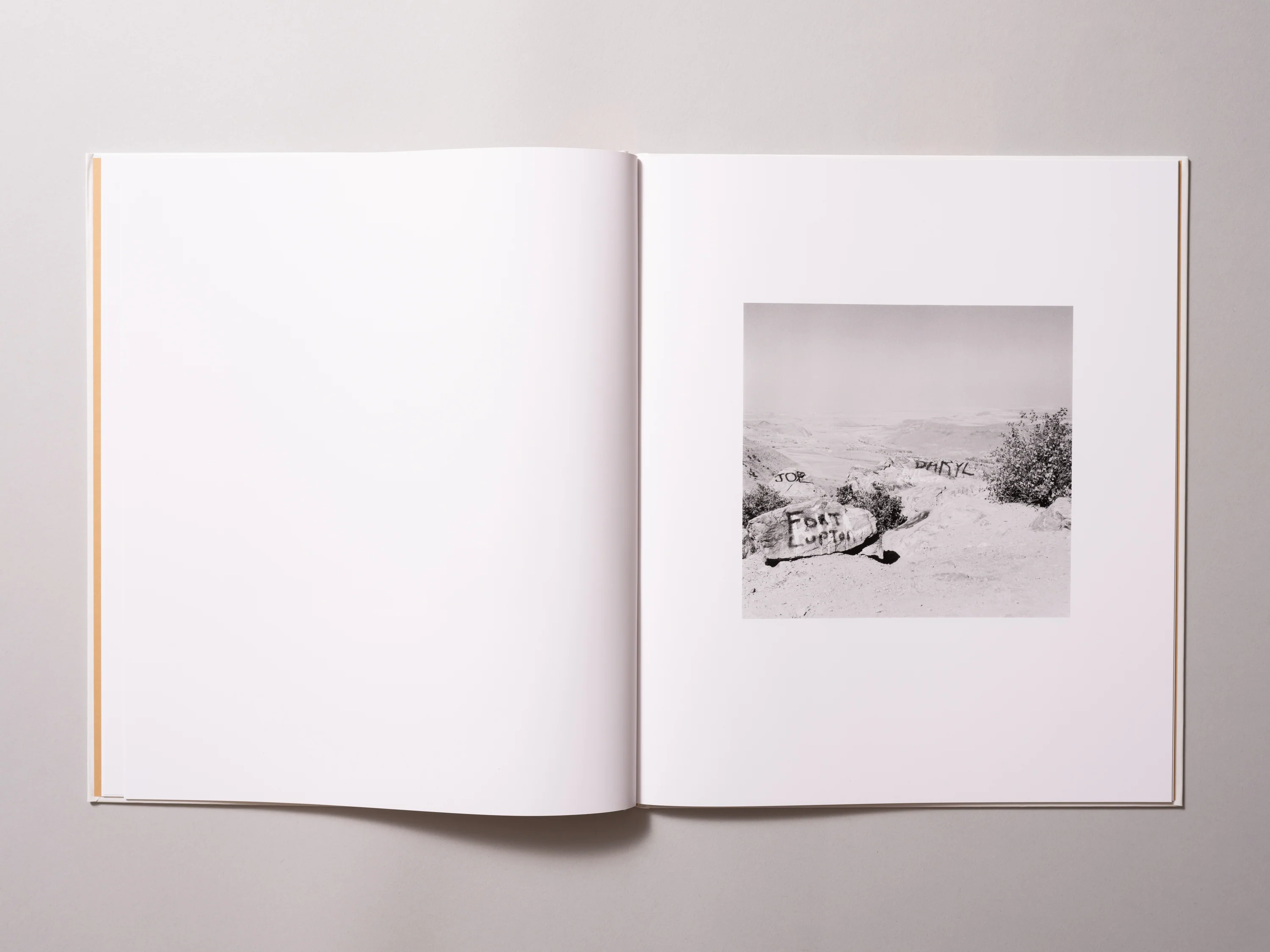 Robert Adams - On Lookout Mountain - Image 4