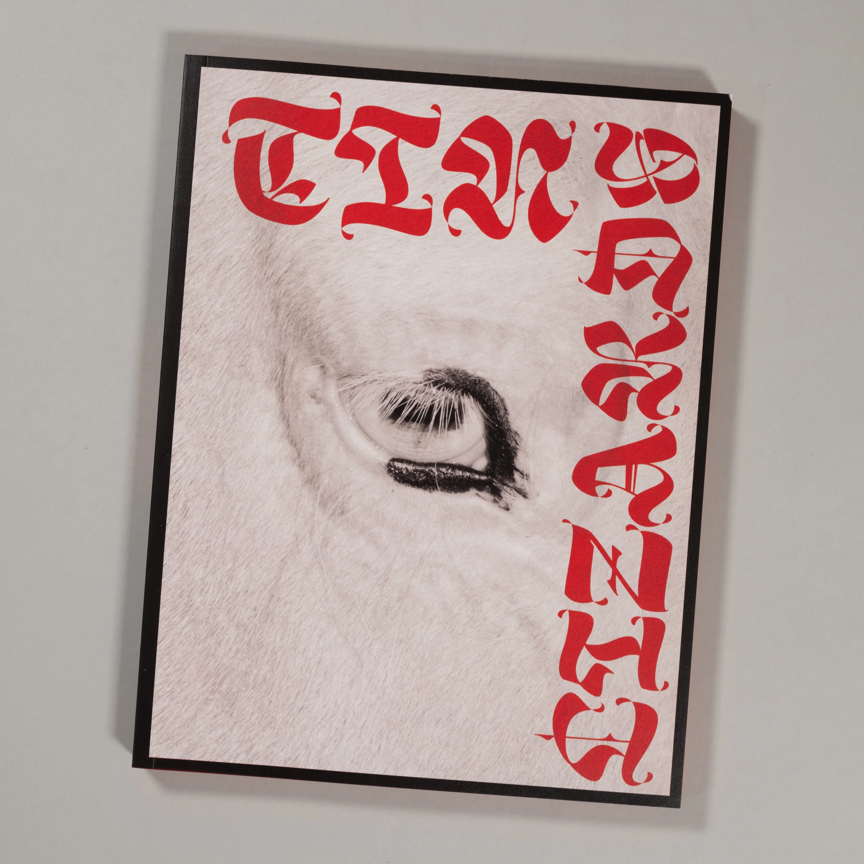 Robert LeBlanc - Tin Lizards - Image 2