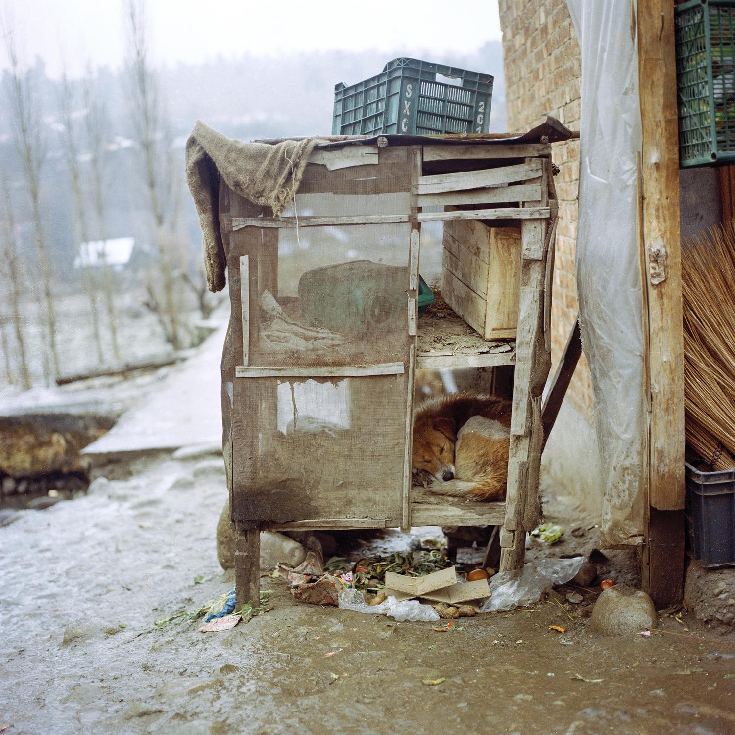 Pre-Order: Sohrab Hura - Snow (Signed) - Image 10