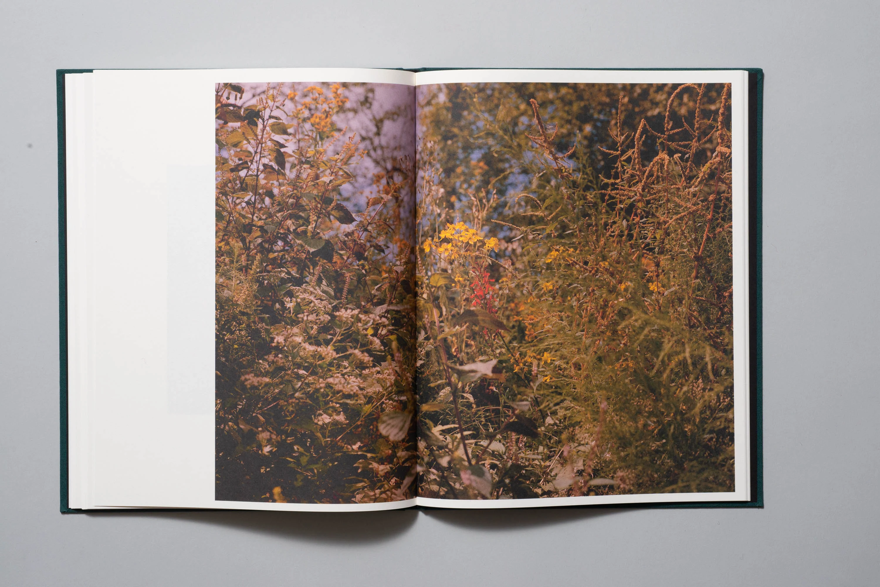 Will Warasila - Quicker than Coal Ash - Image 10