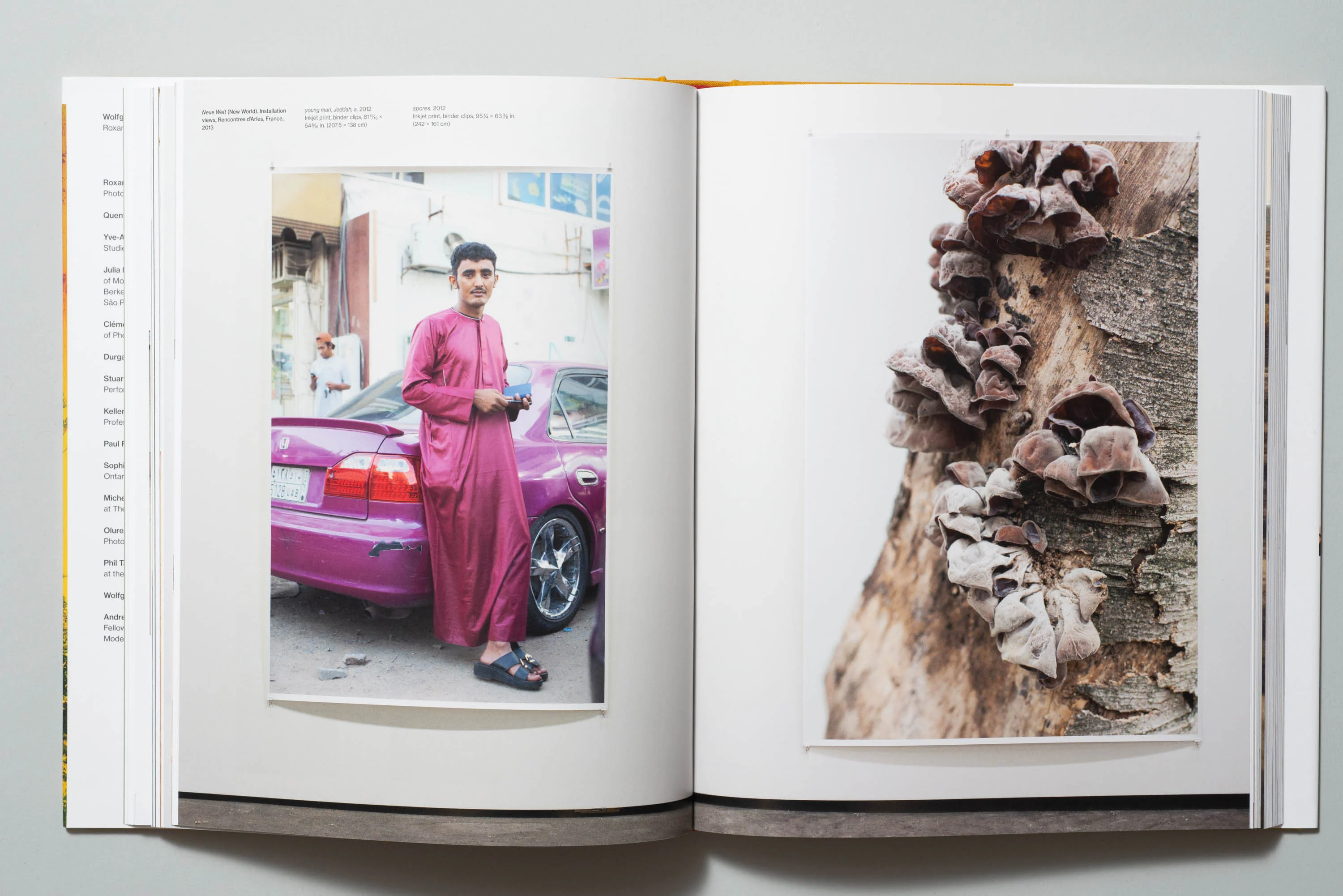 Wolfgang Tillmans - To look without fear - Image 4