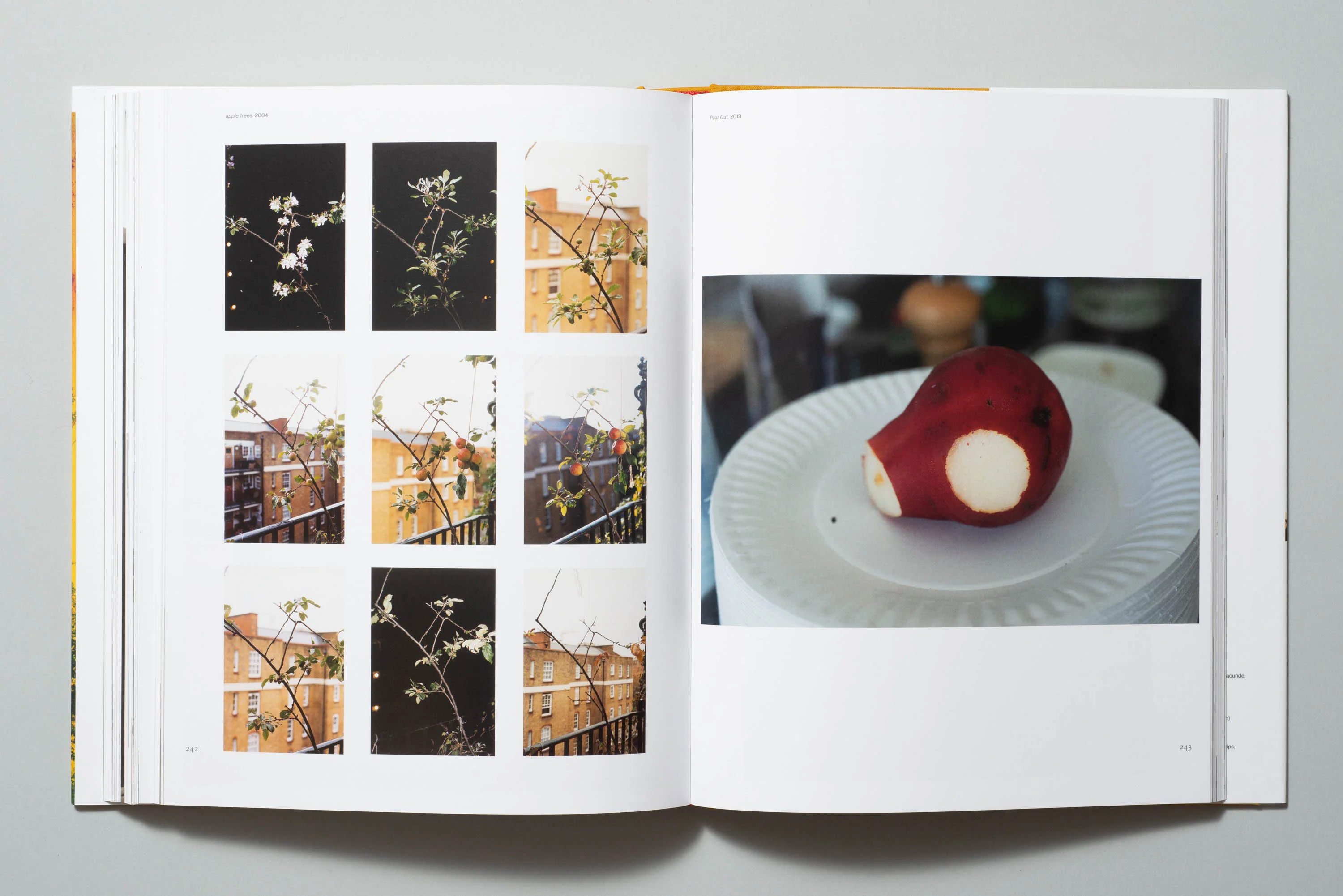 Wolfgang Tillmans - To look without fear - Image 9